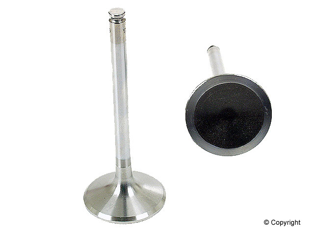 Intake Valve