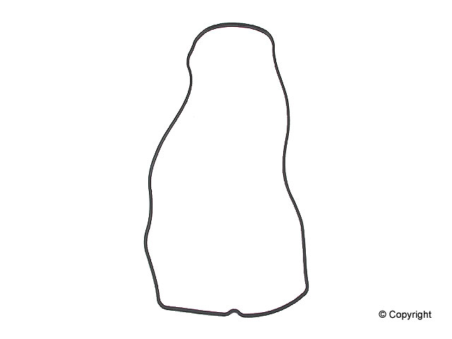 Right Valve Cover Gasket