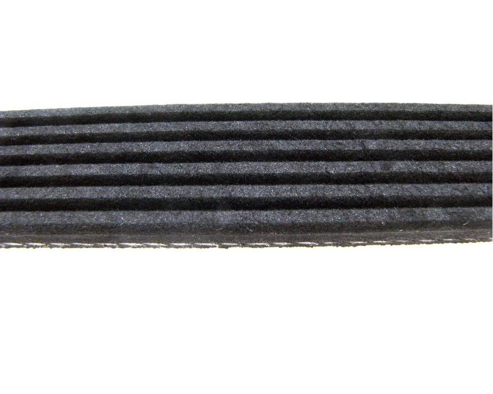 Serpentine Belt