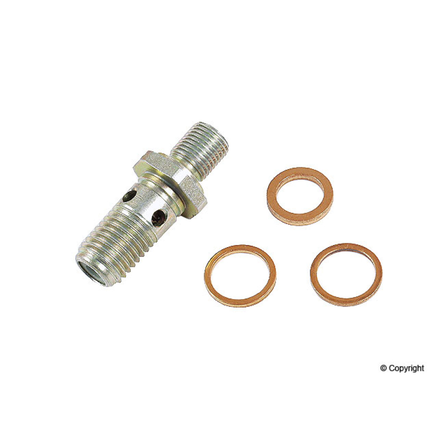 BOSCH Fuel Pump Check Valve Repair Kit 1583386514 