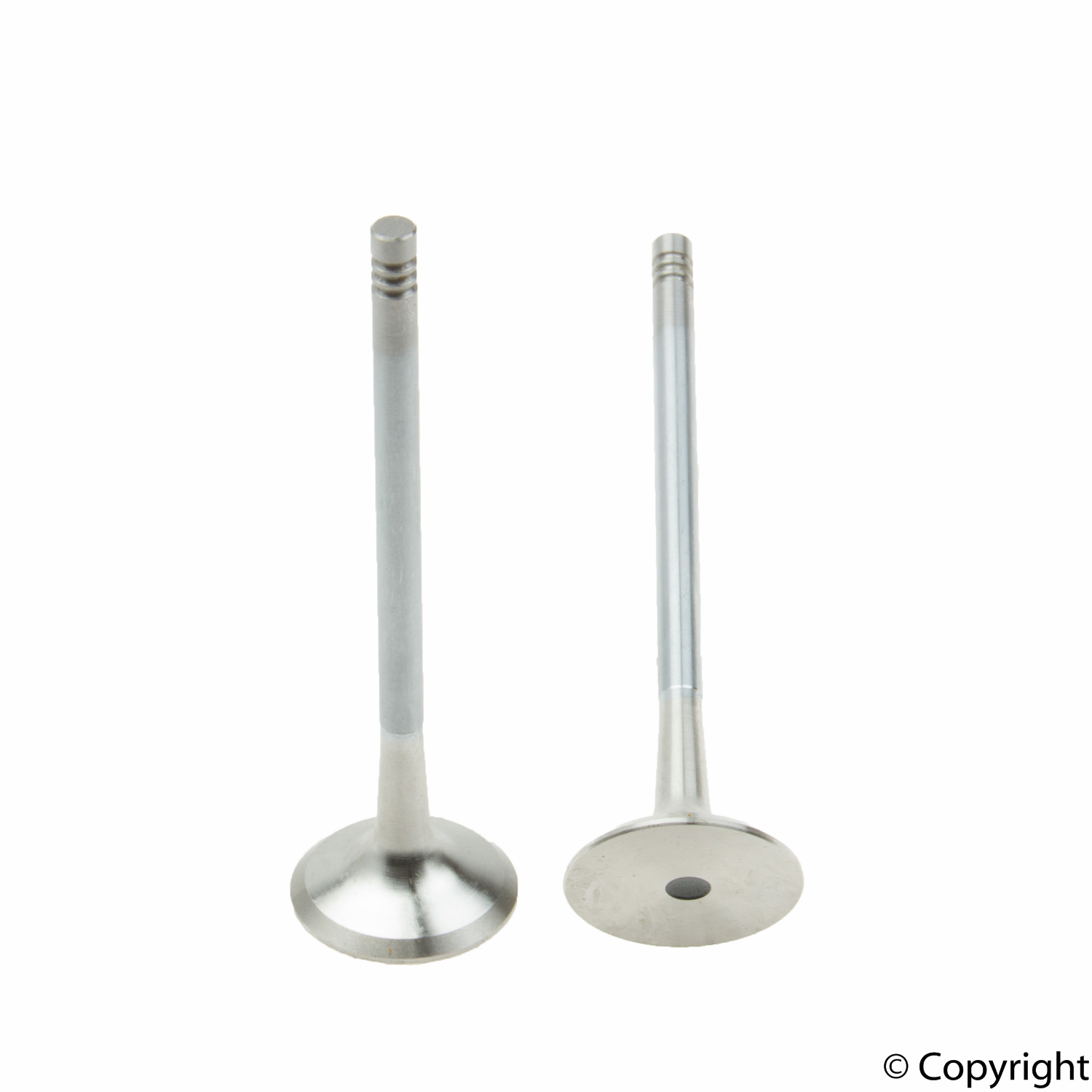 Exhaust Valve