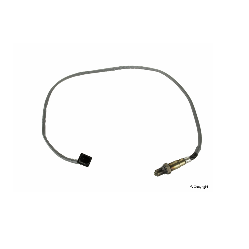 Oxygen Sensor
