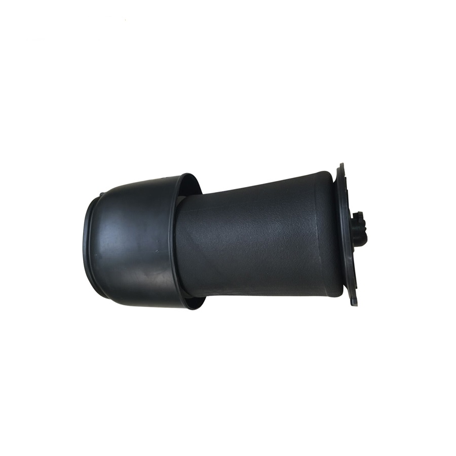 Rear Air Spring