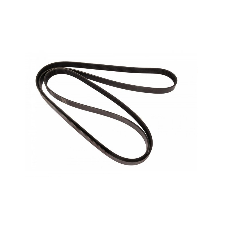 Serpentine Belt