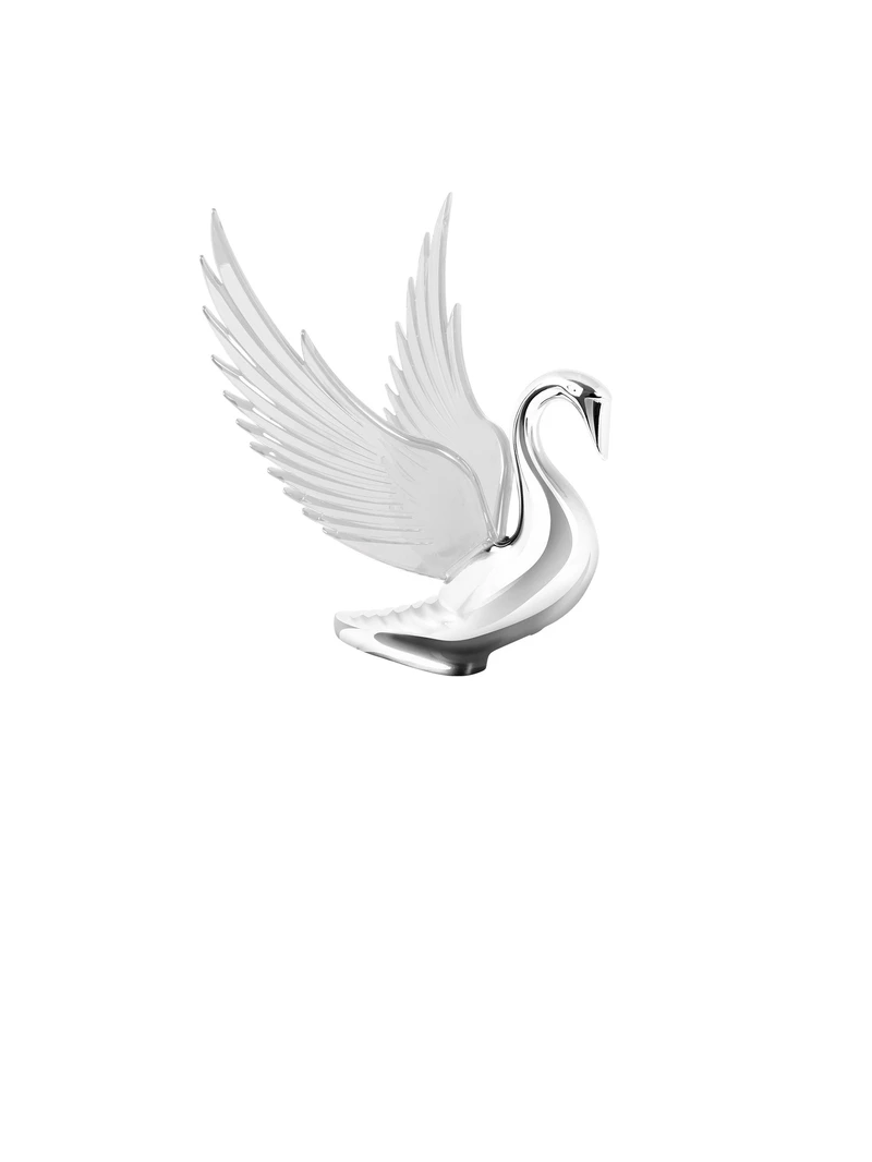 WindRider Chrome Swan