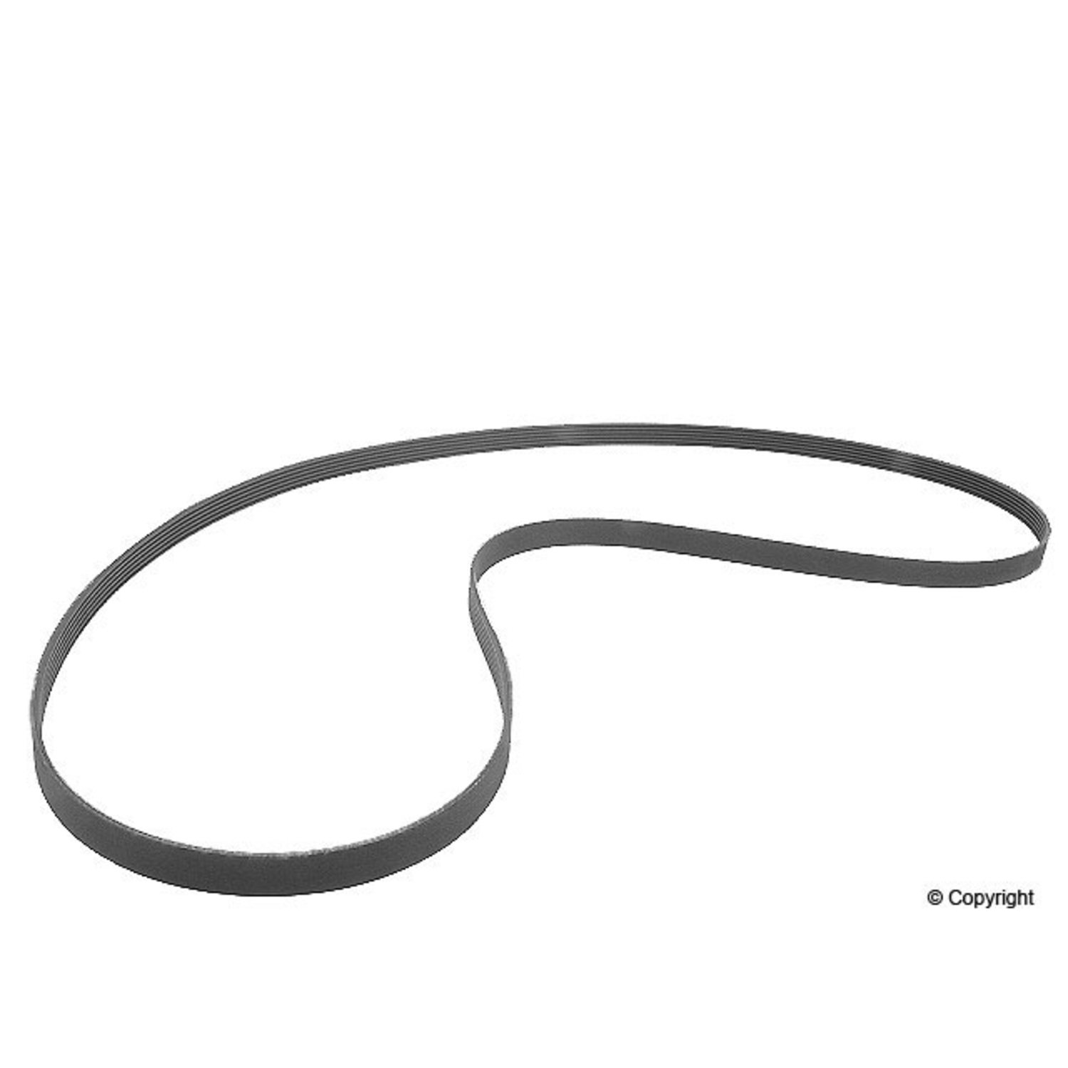 Serpentine Belt