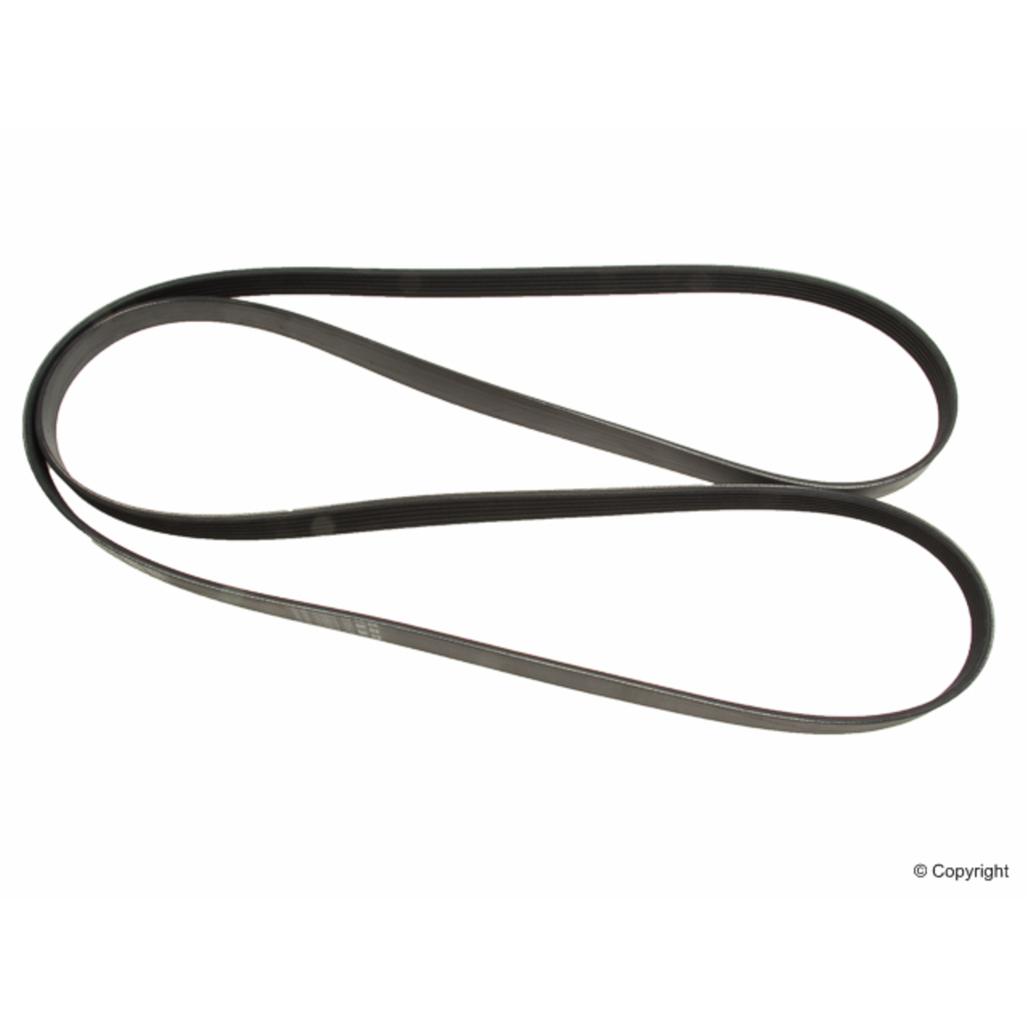 Serpentine Belt