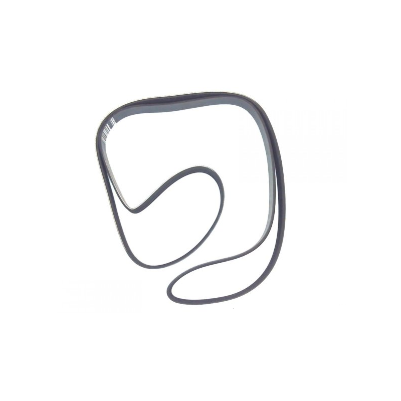 Serpentine Belt