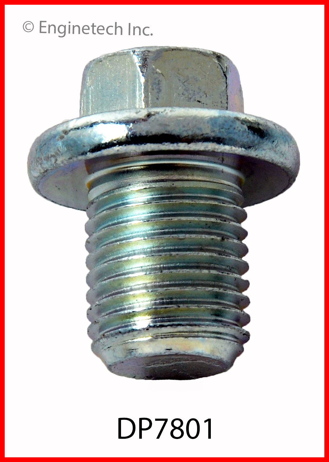 Engine Oil Drain Plug