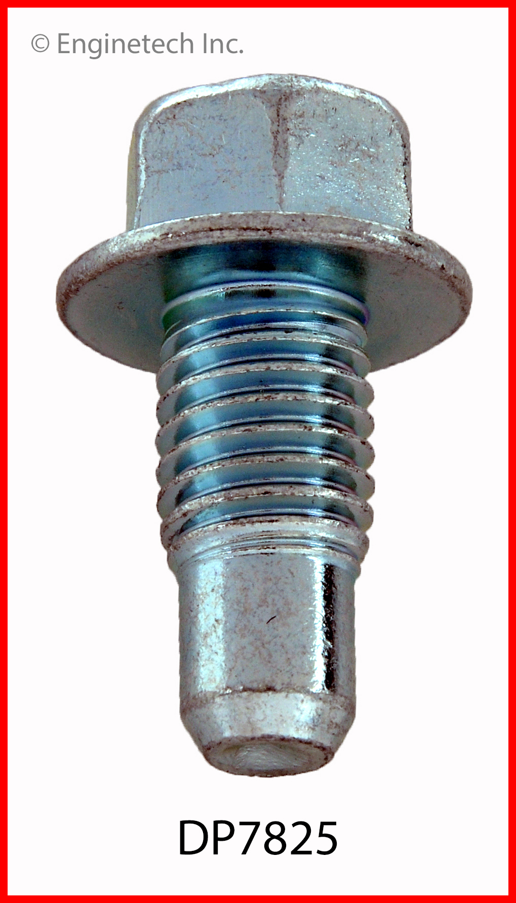 Engine Oil Drain Plug