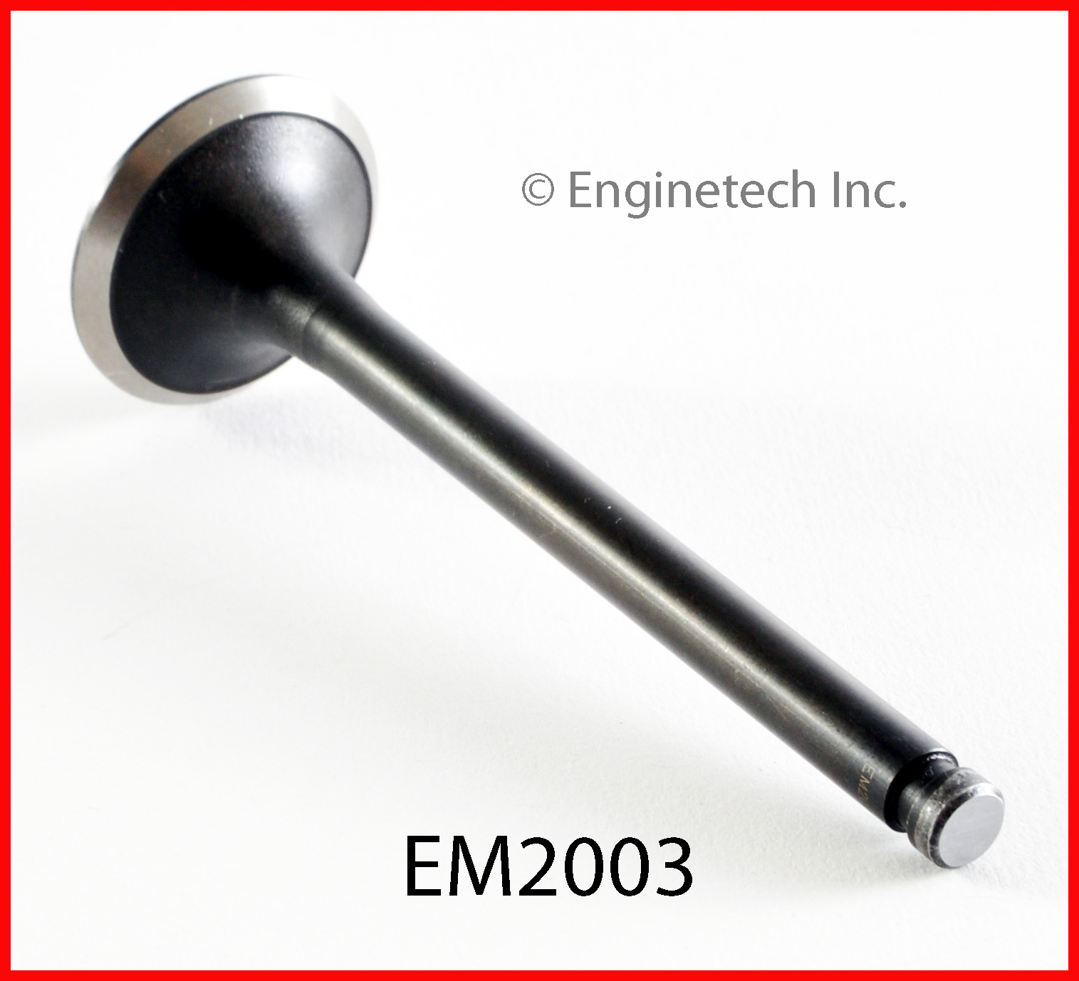 Engine Exhaust Valve