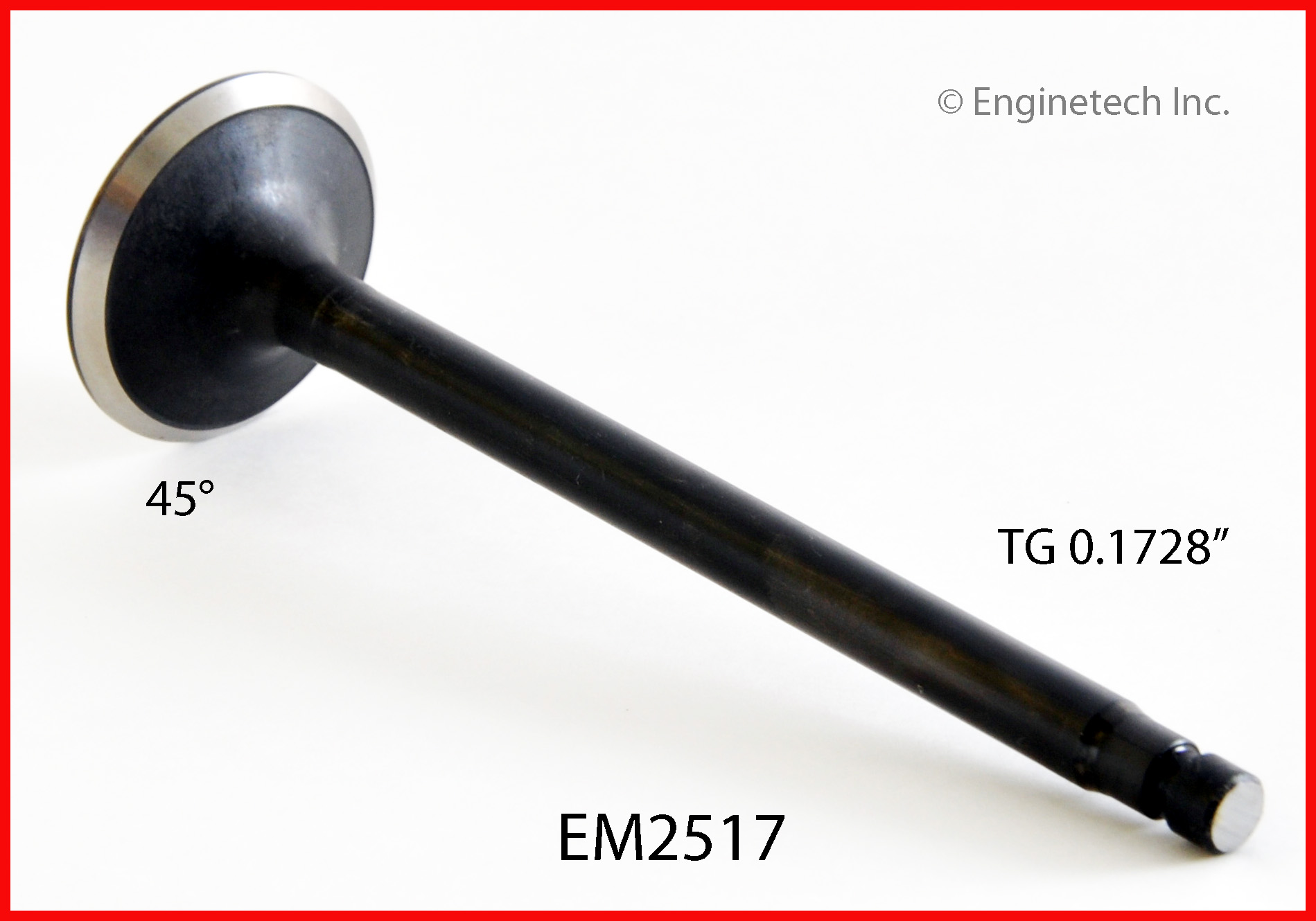 Engine Exhaust Valve