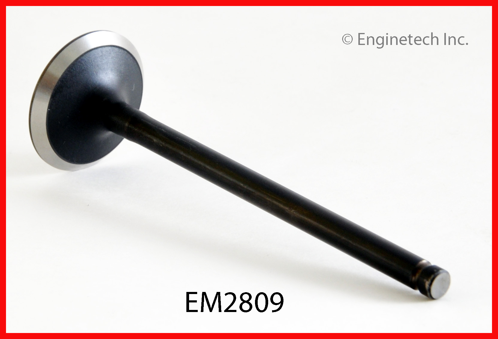 Engine Exhaust Valve