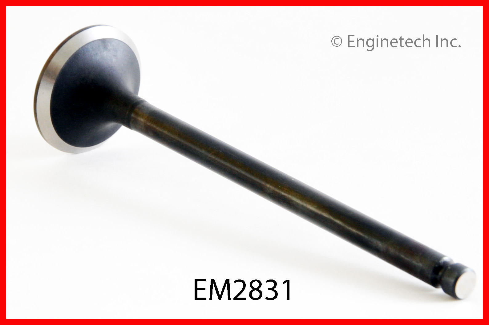 Engine Exhaust Valve