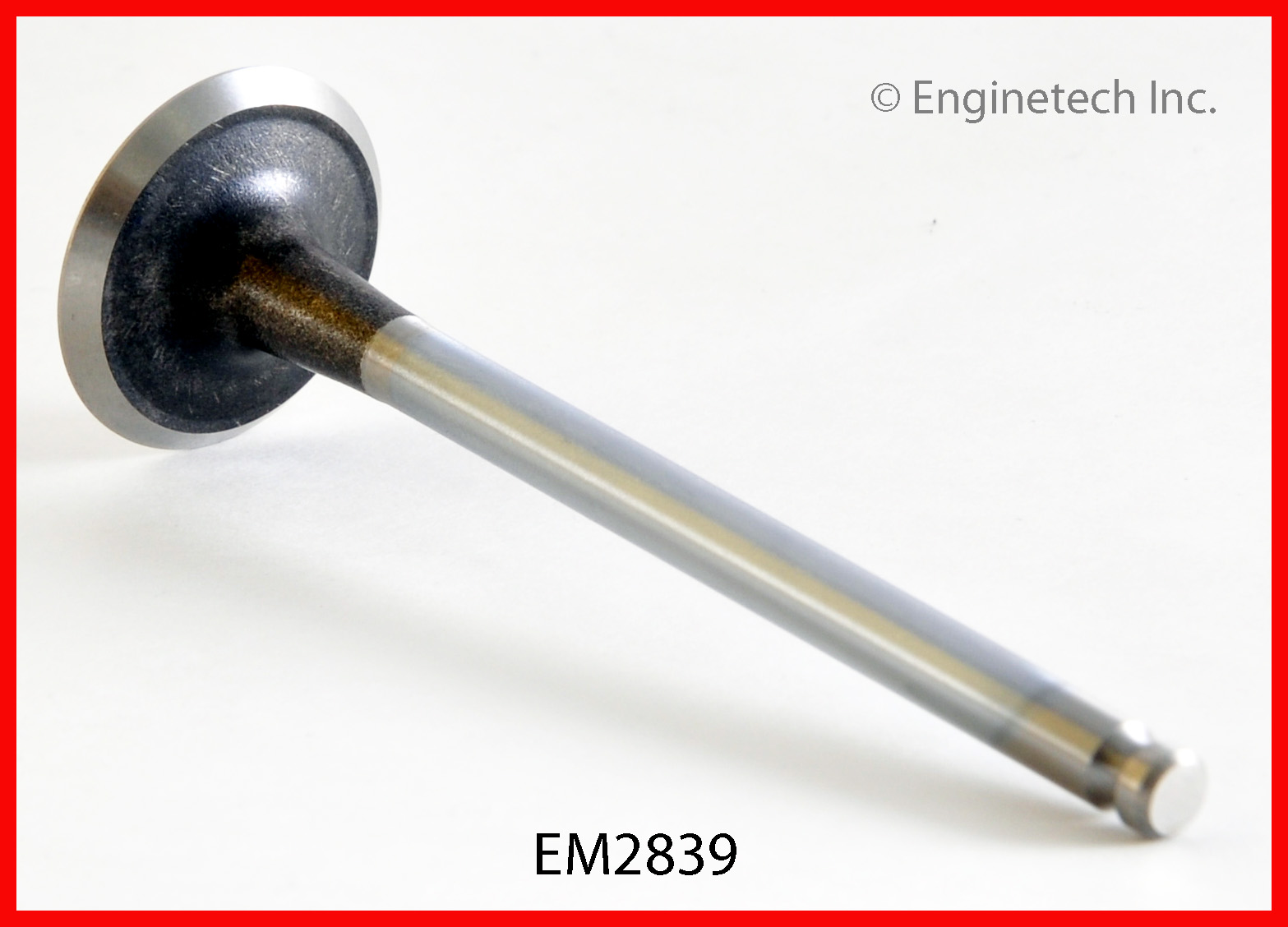 Engine Exhaust Valve