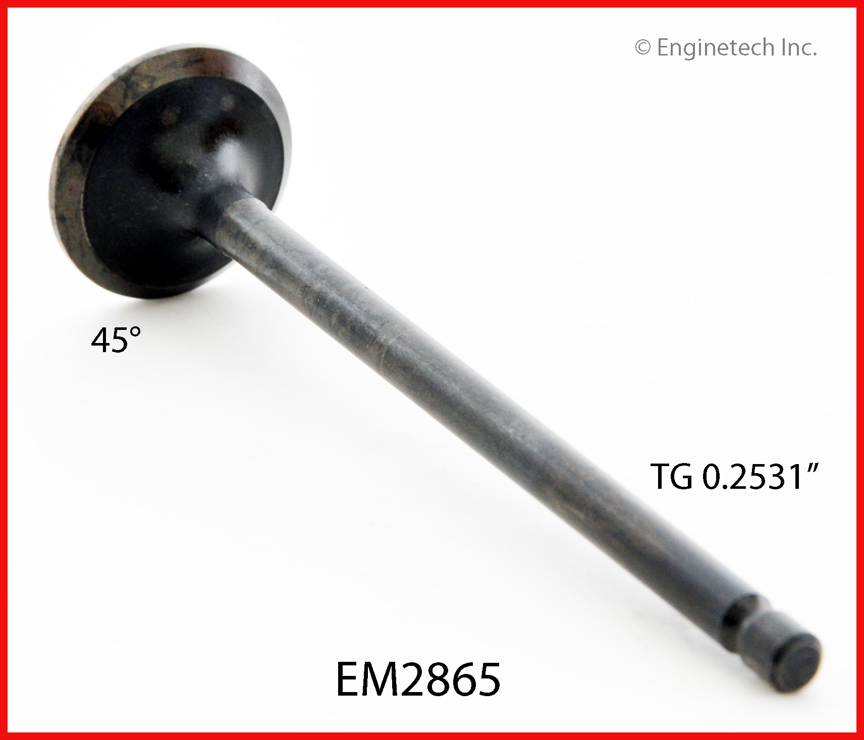 Engine Exhaust Valve