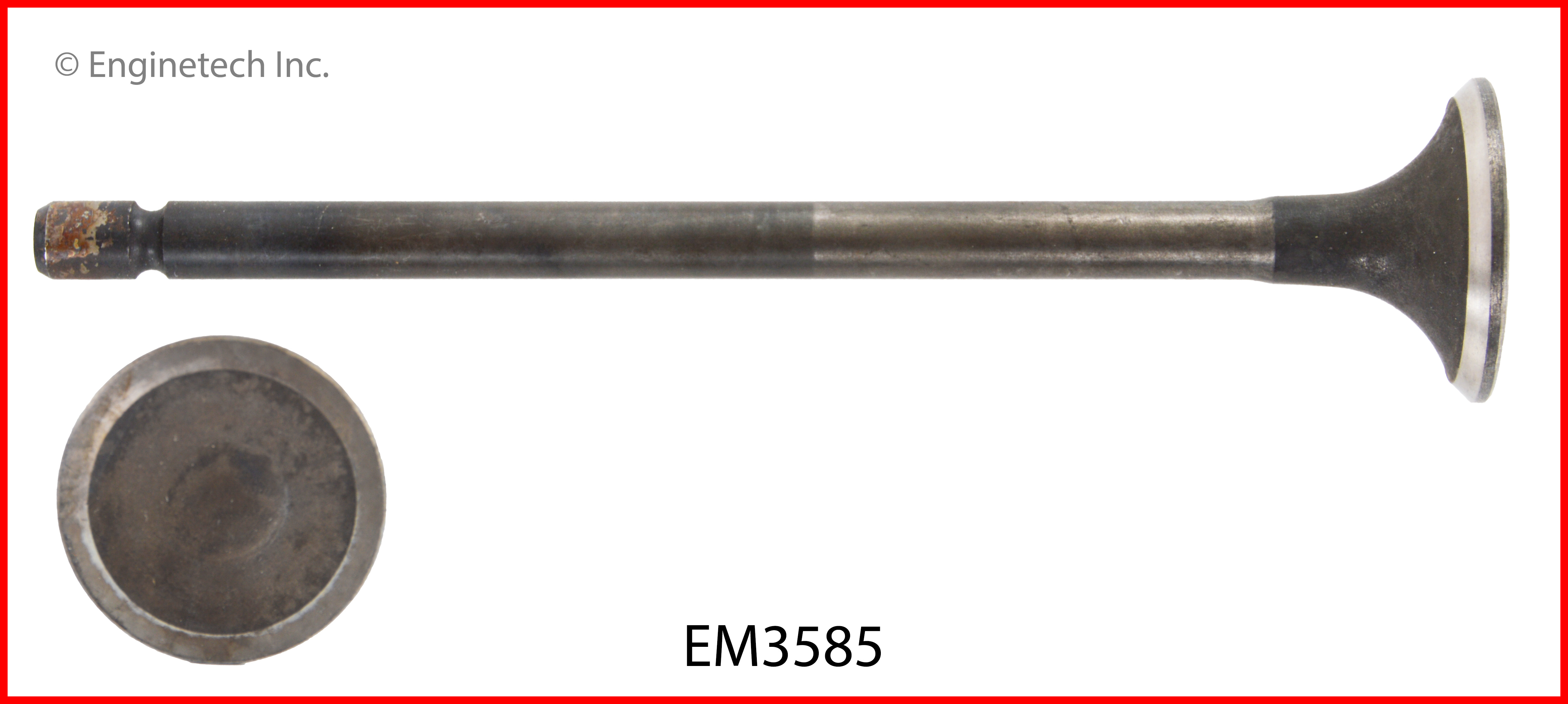 Engine Exhaust Valve