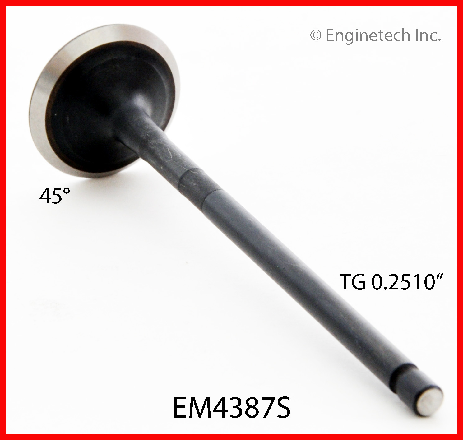 Engine Exhaust Valve