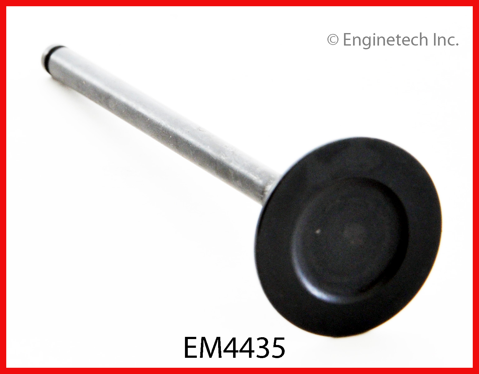 Engine Exhaust Valve