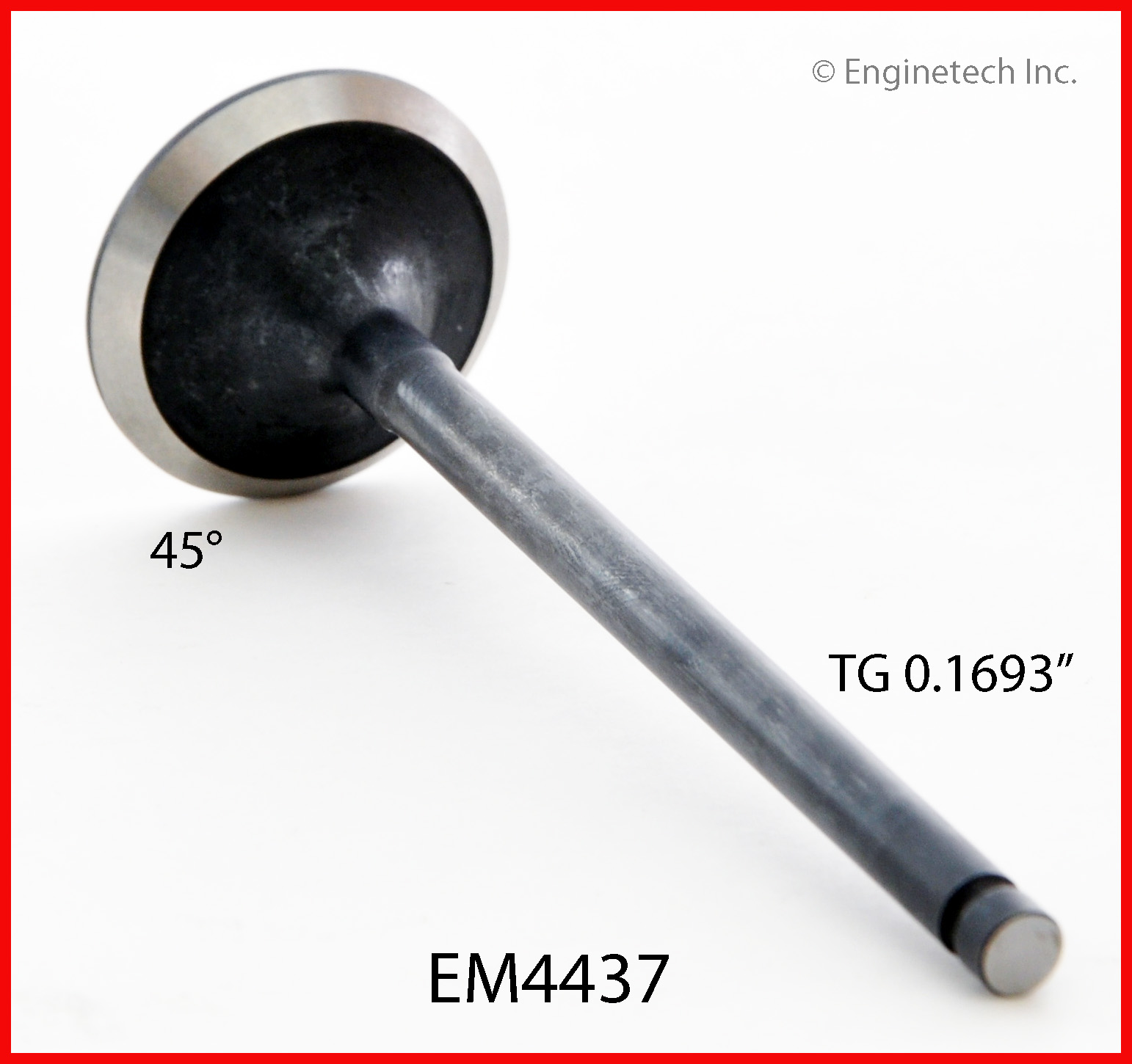 Engine Exhaust Valve