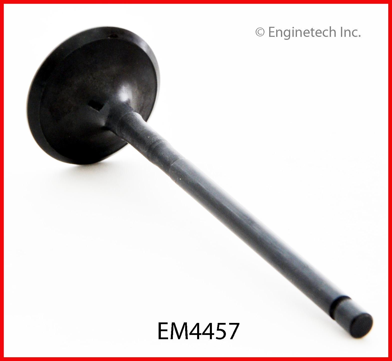 Engine Exhaust Valve