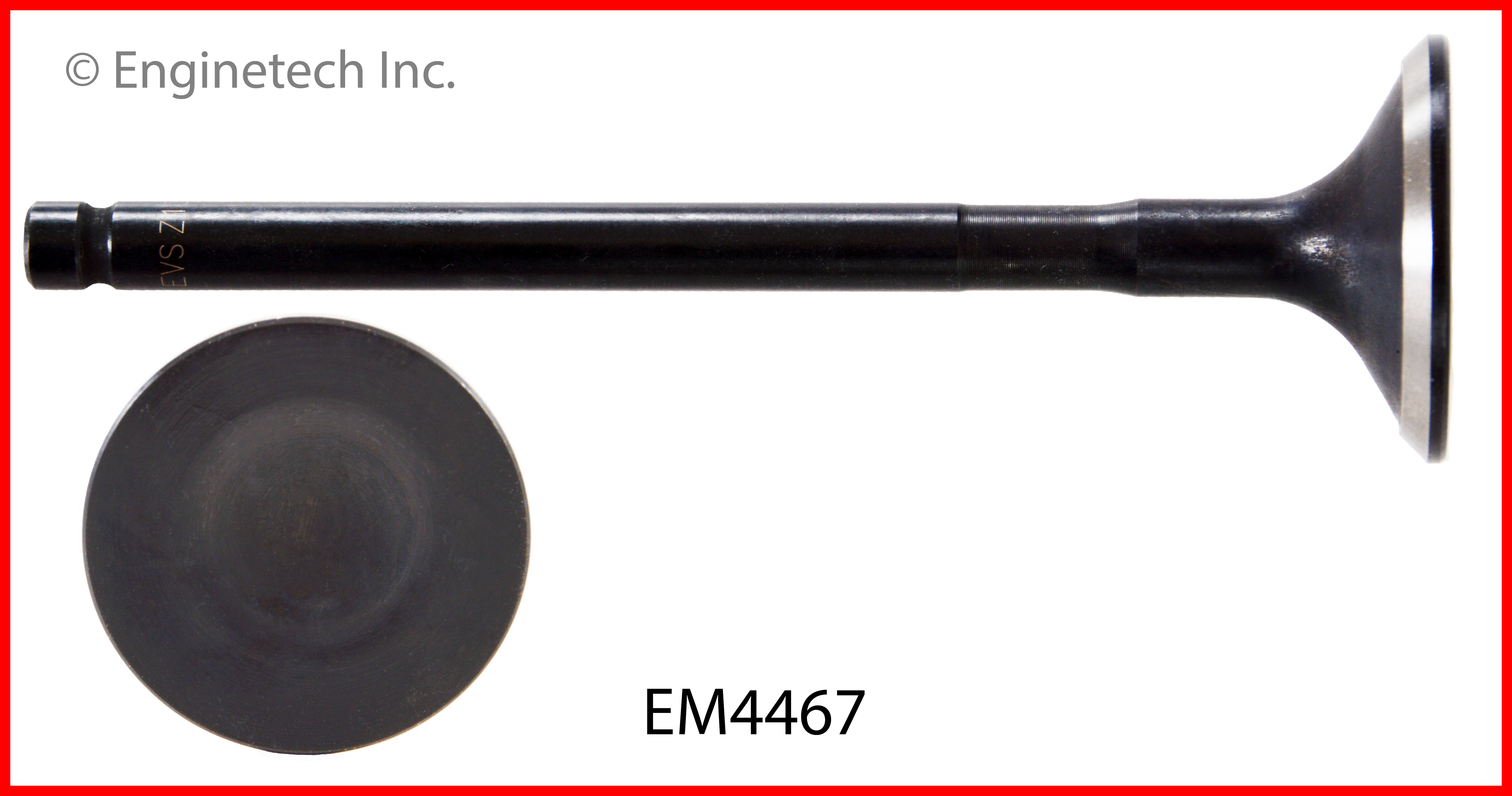 Engine Exhaust Valve