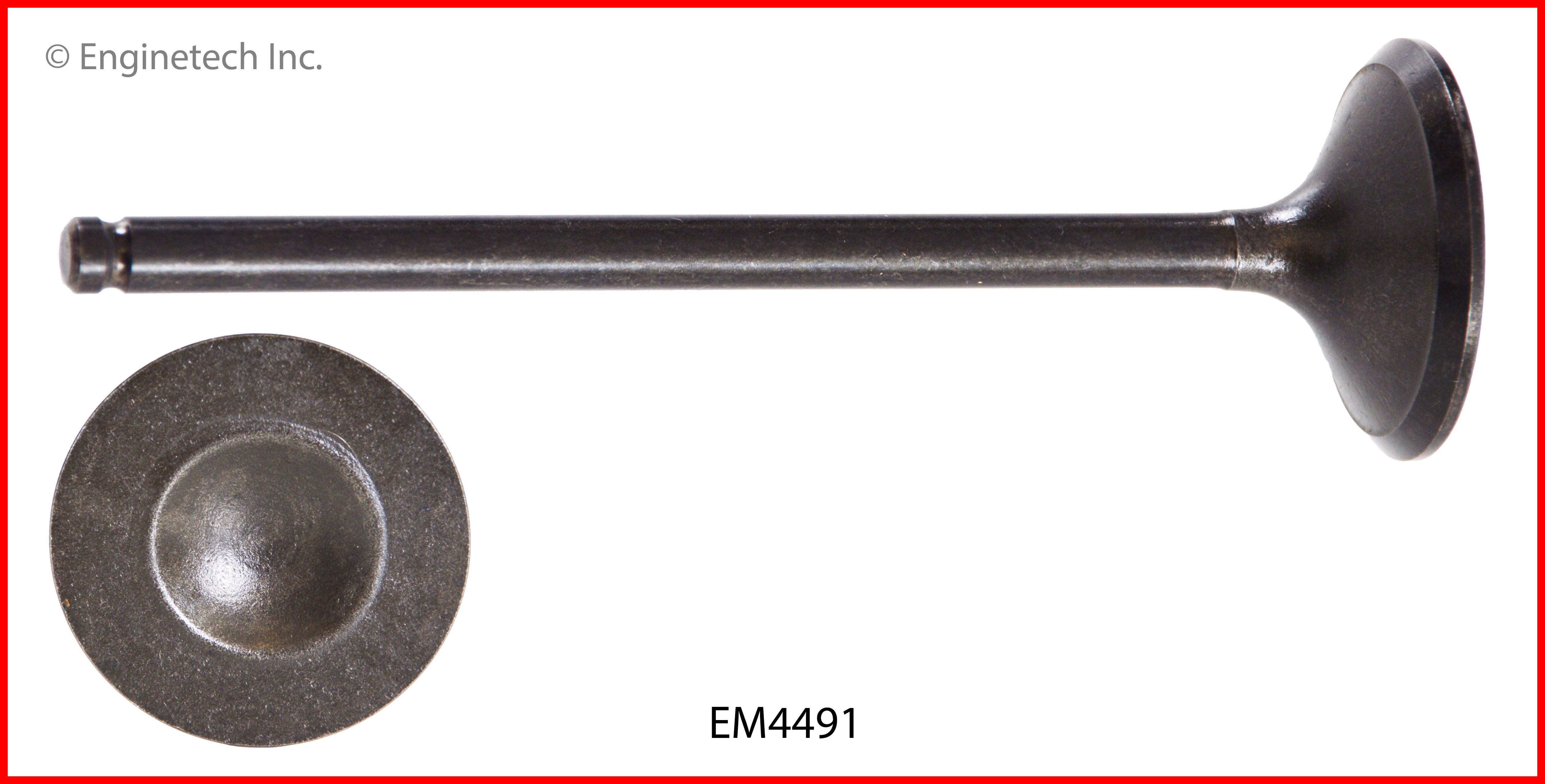 Engine Exhaust Valve