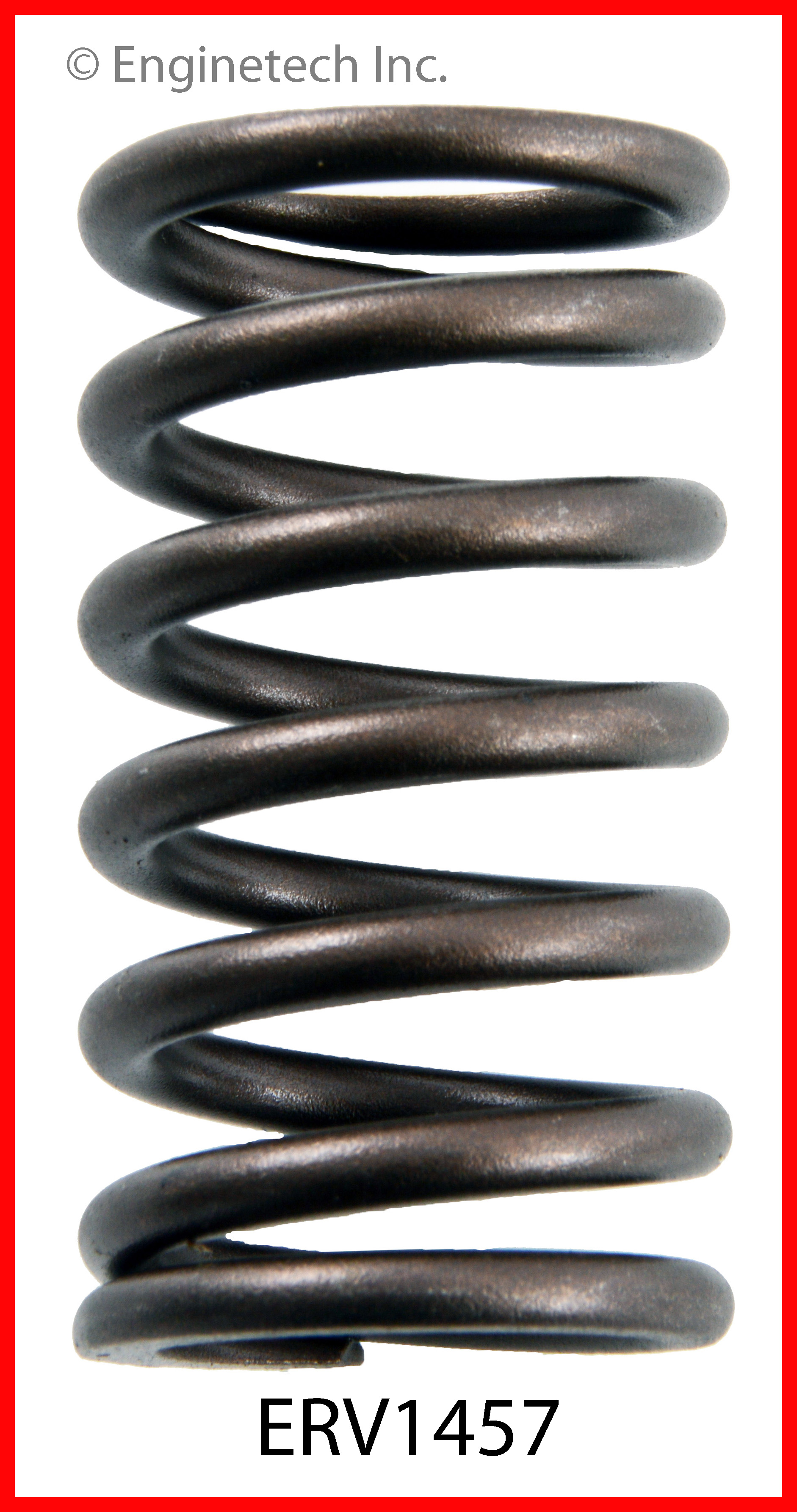 Engine Valve Spring