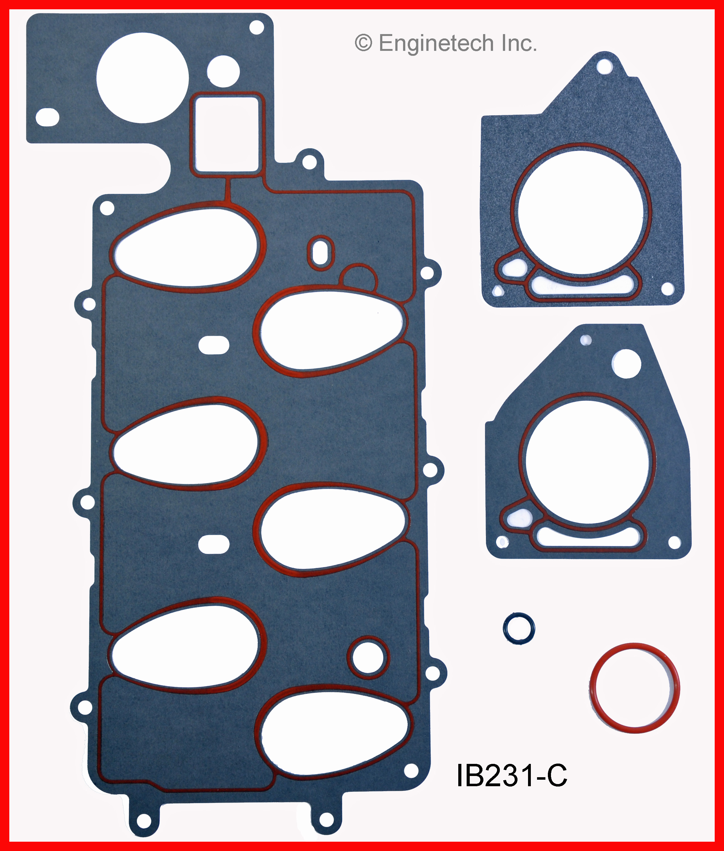 Fuel Injection Plenum Gasket