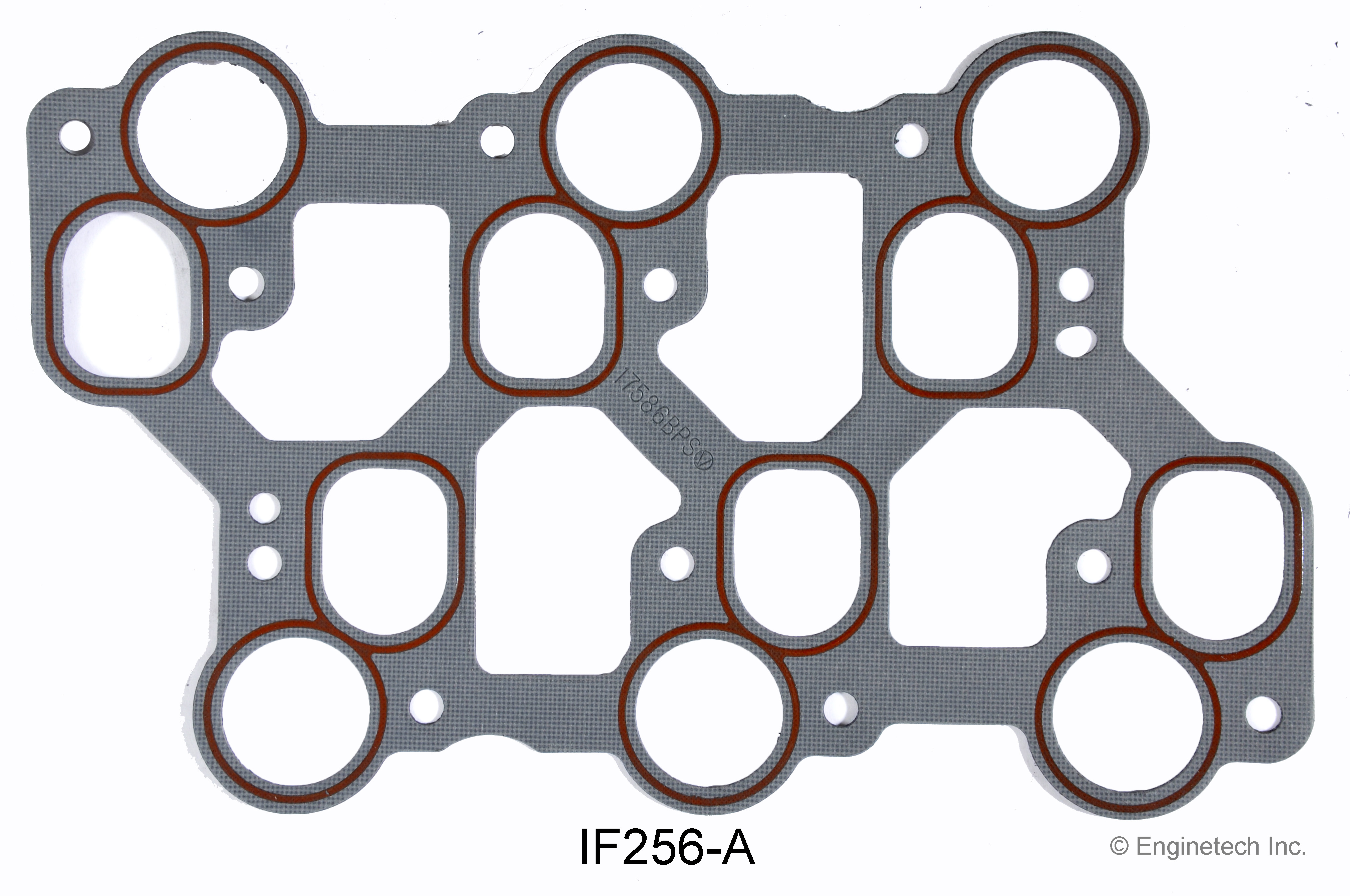 Fuel Injection Plenum Gasket