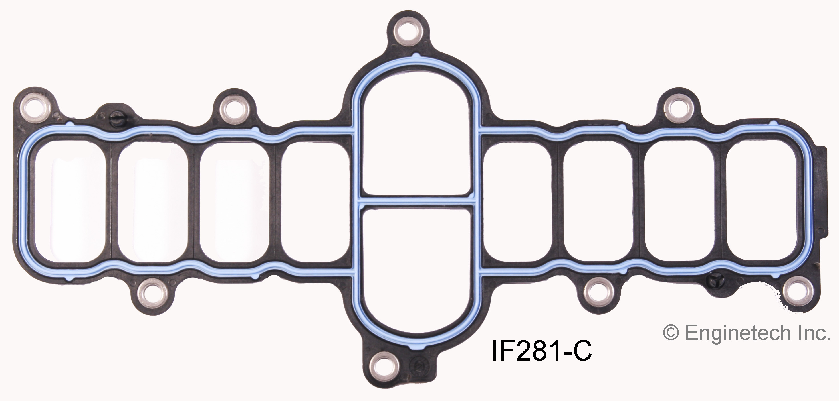 Fuel Injection Plenum Gasket