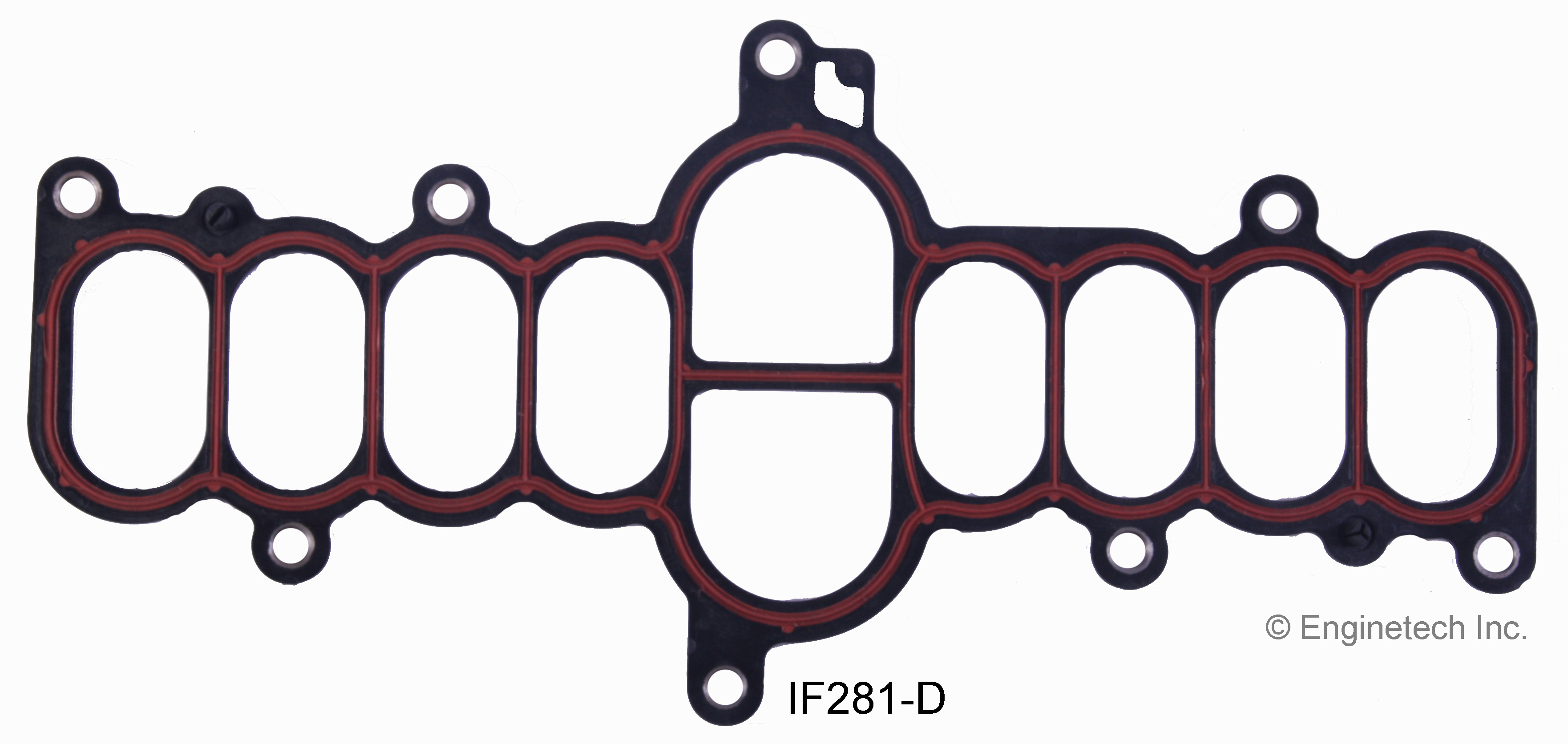 Fuel Injection Plenum Gasket