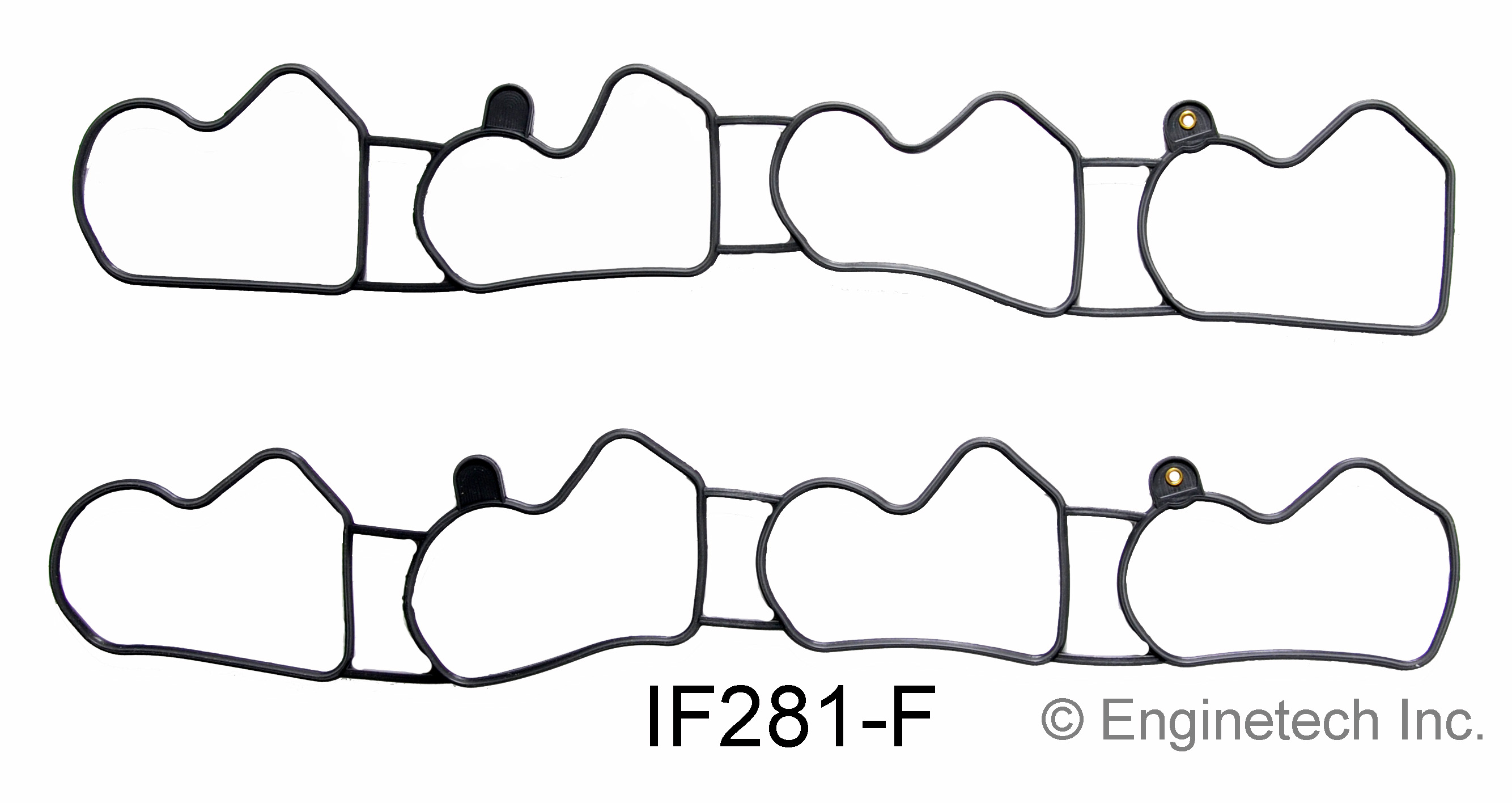 Engine Intake Manifold Gasket