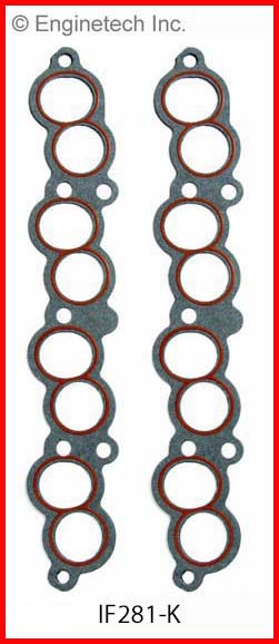 Fuel Injection Plenum Gasket