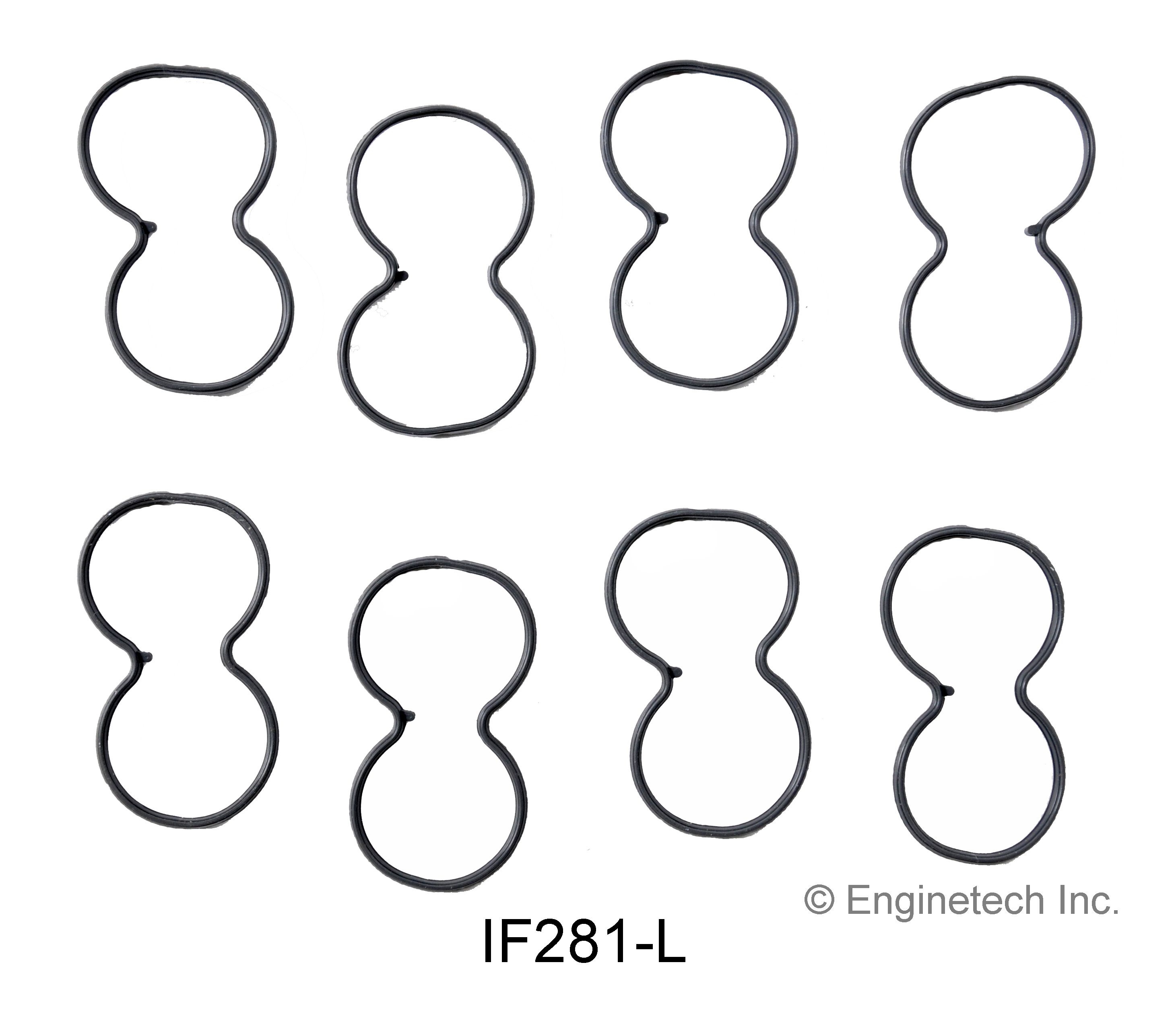 Fuel Injection Plenum Gasket