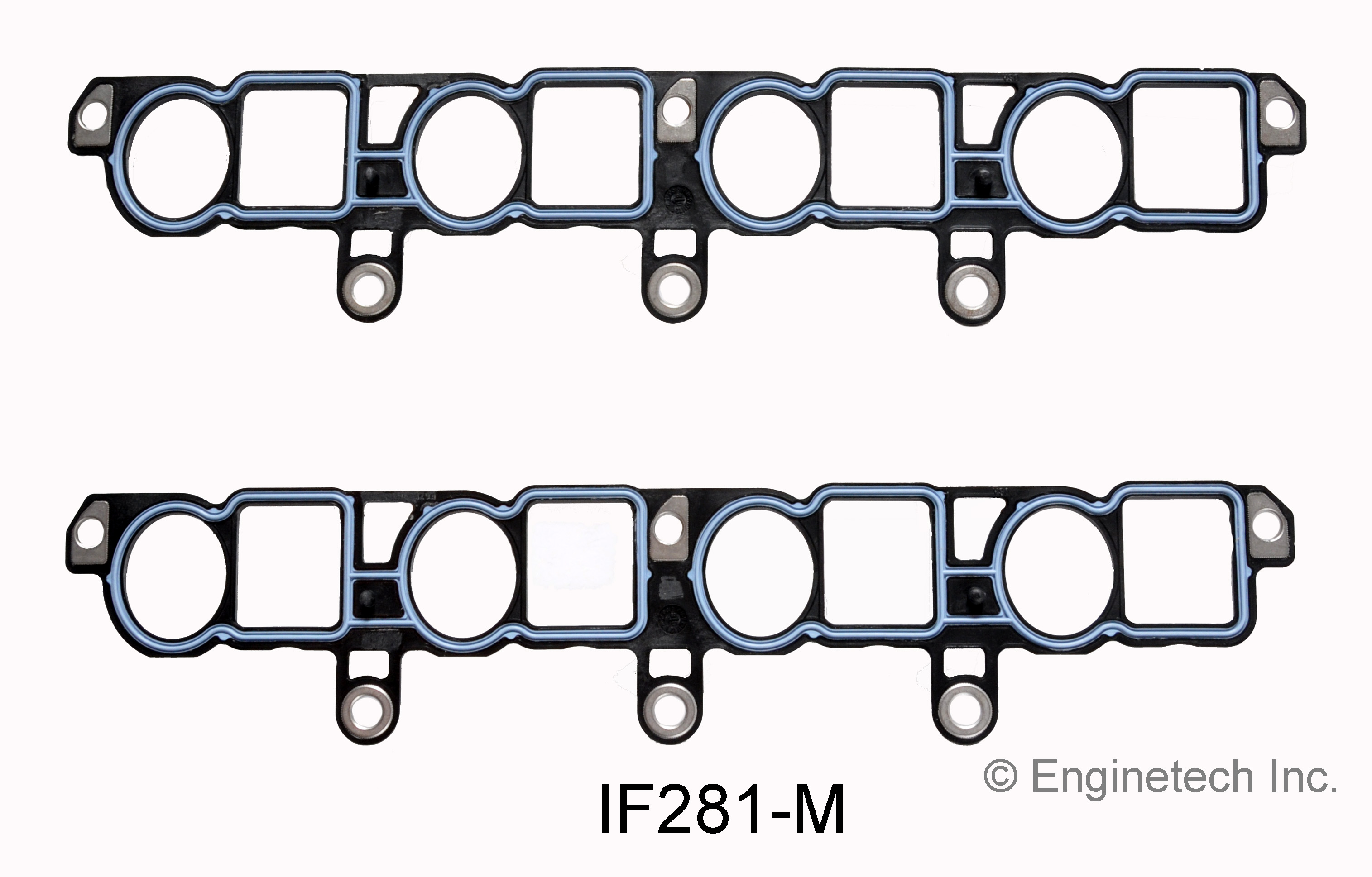 Fuel Injection Plenum Gasket