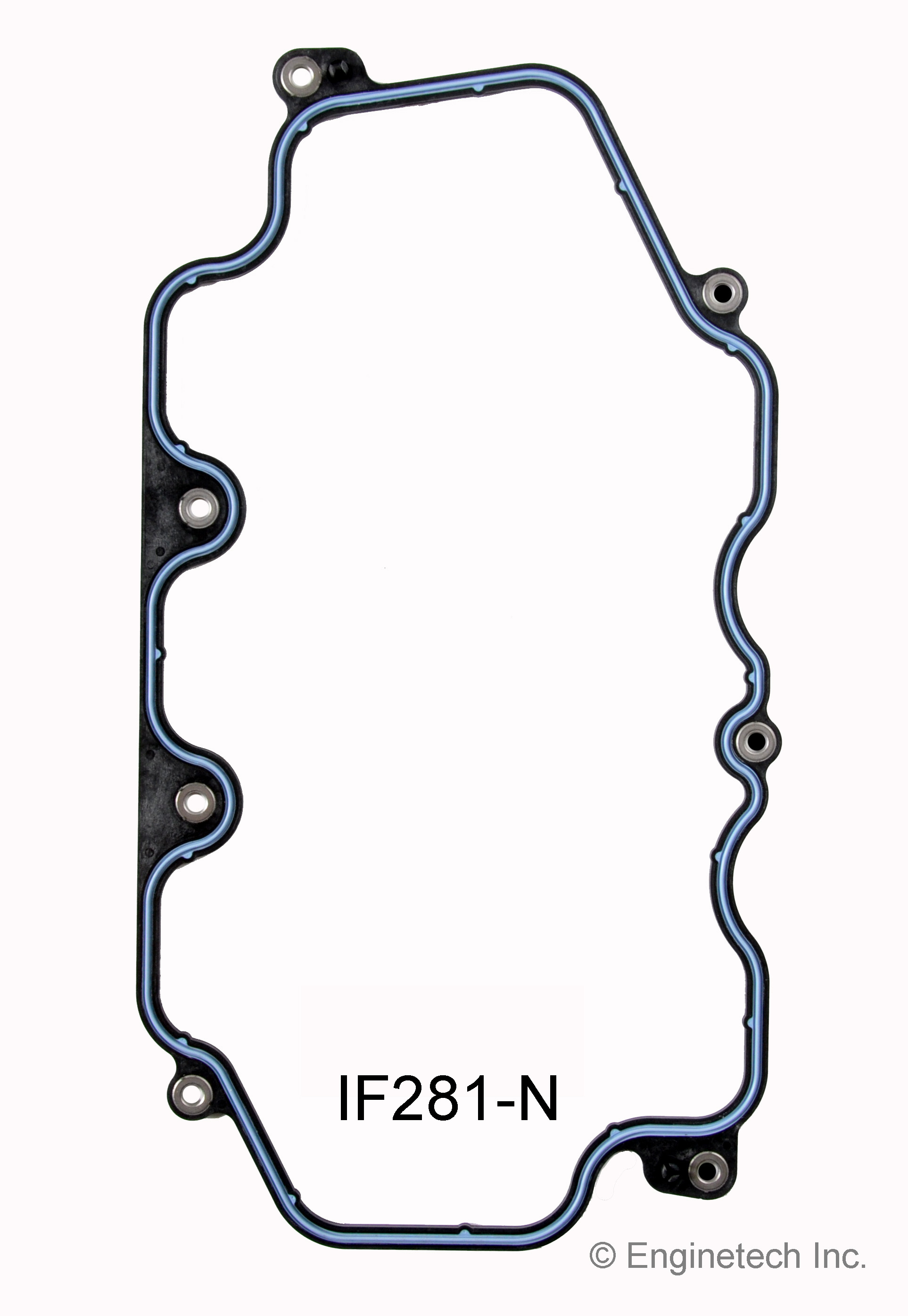 Fuel Injection Plenum Gasket