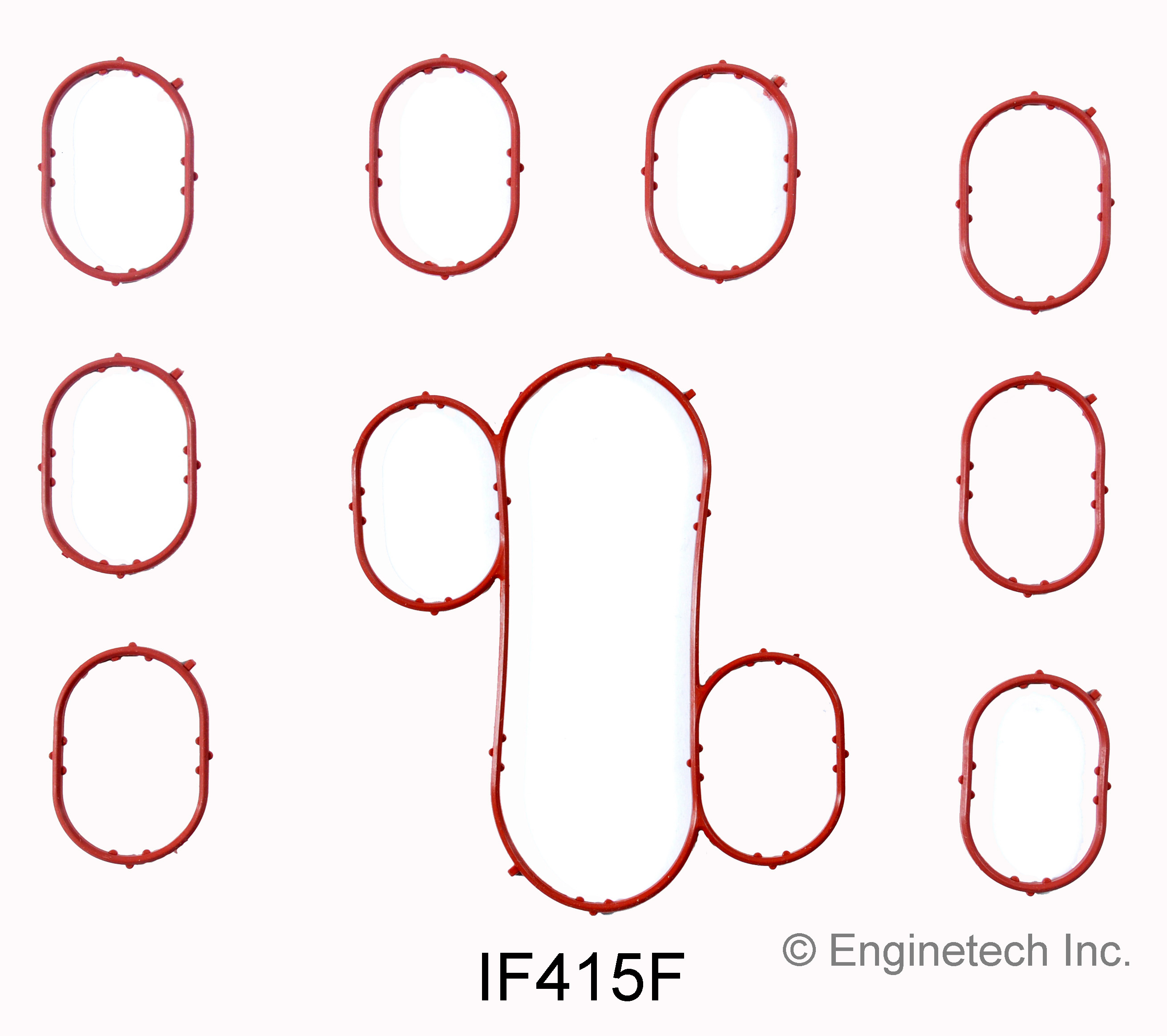 Fuel Injection Plenum Gasket