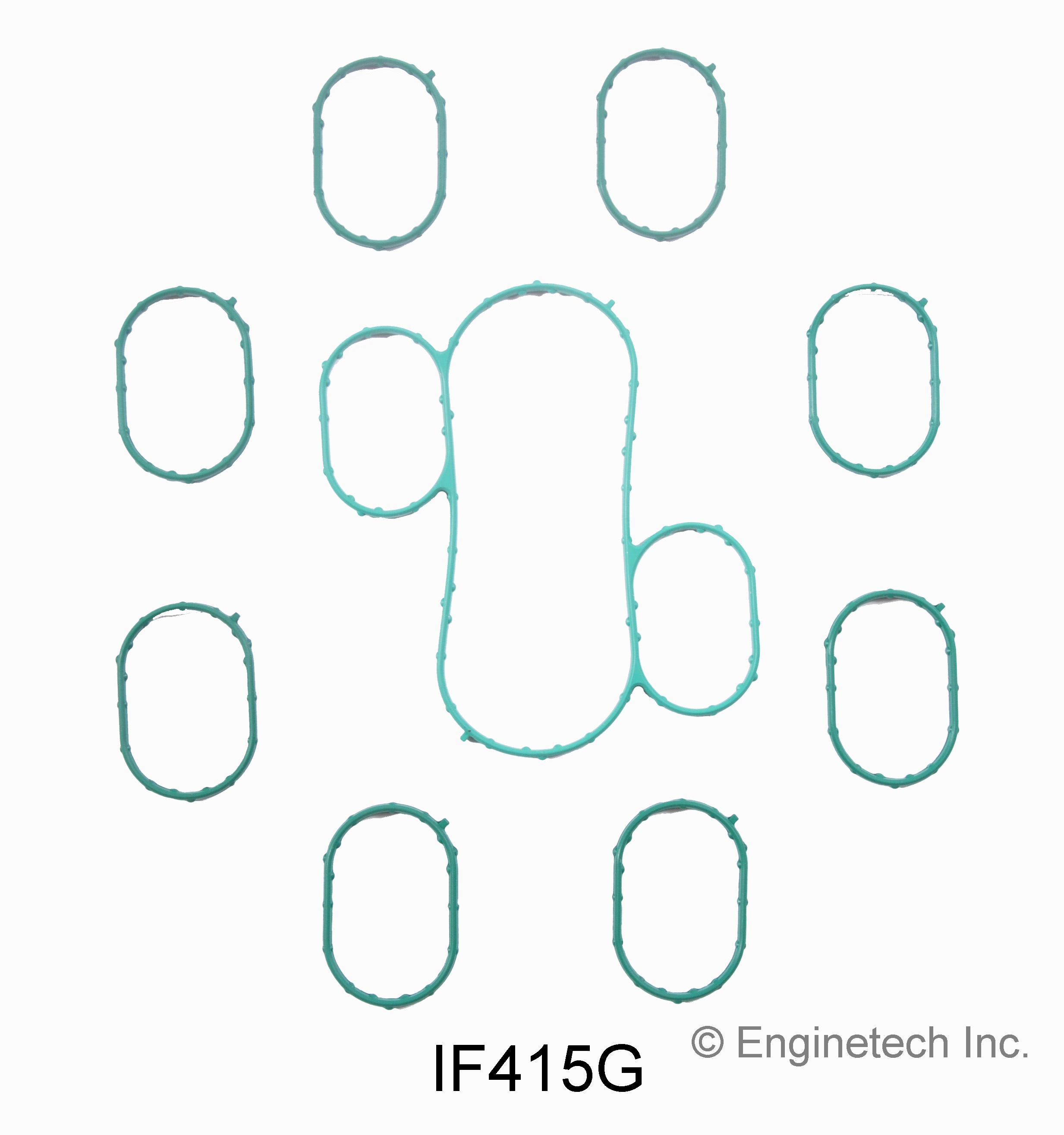 Fuel Injection Plenum Gasket