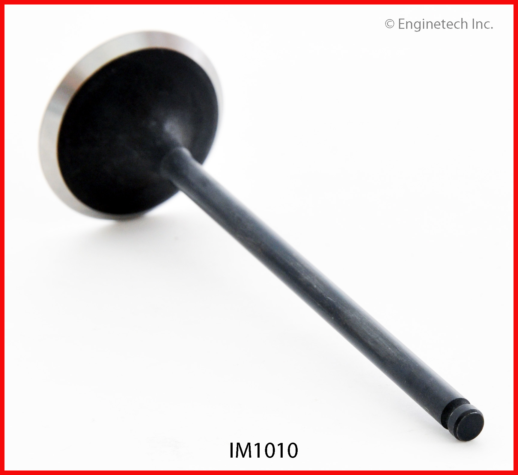 Engine Intake Valve