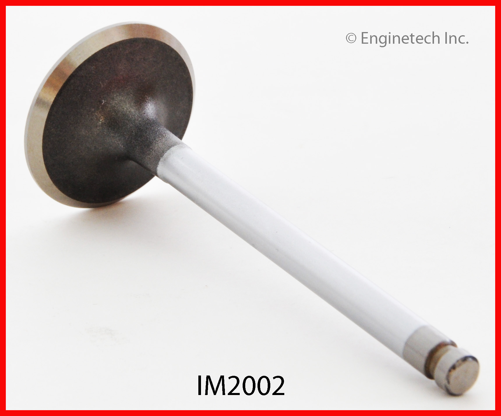 Engine Intake Valve