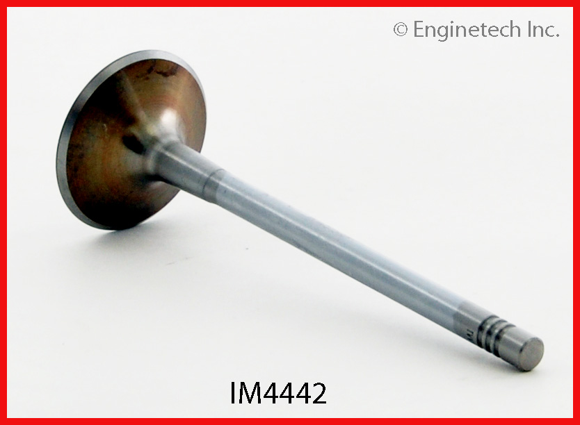 Engine Intake Valve