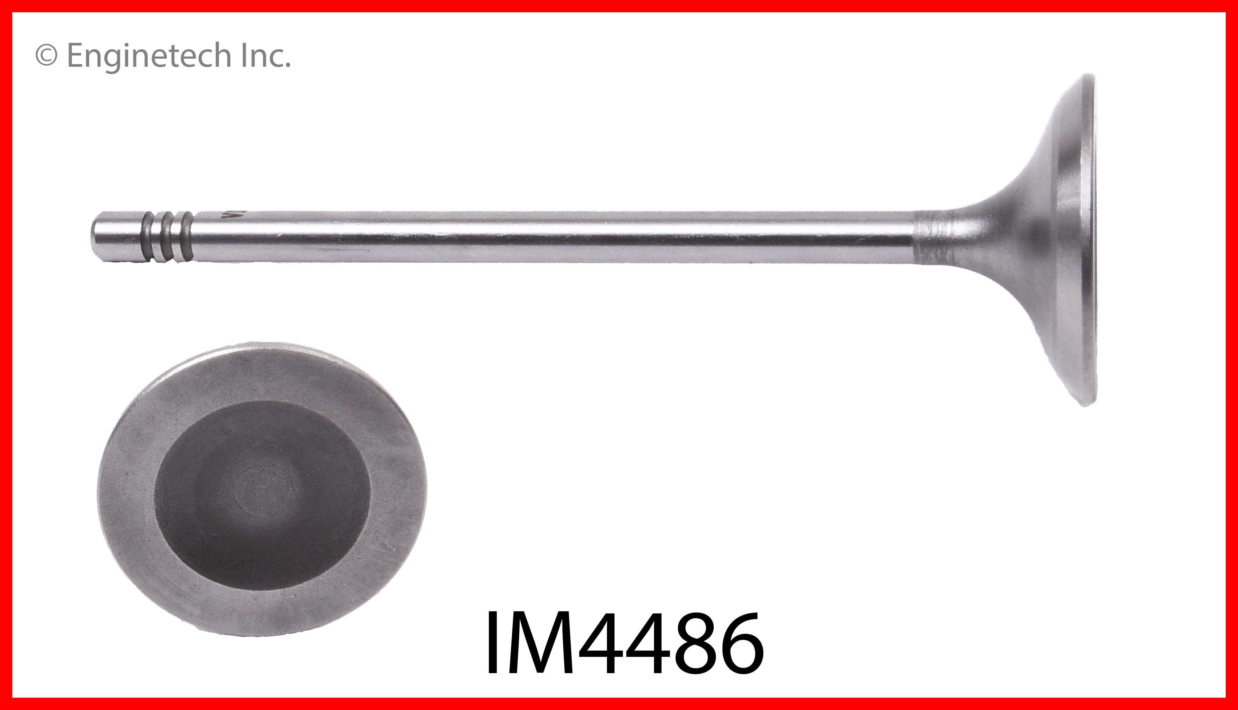 Engine Intake Valve