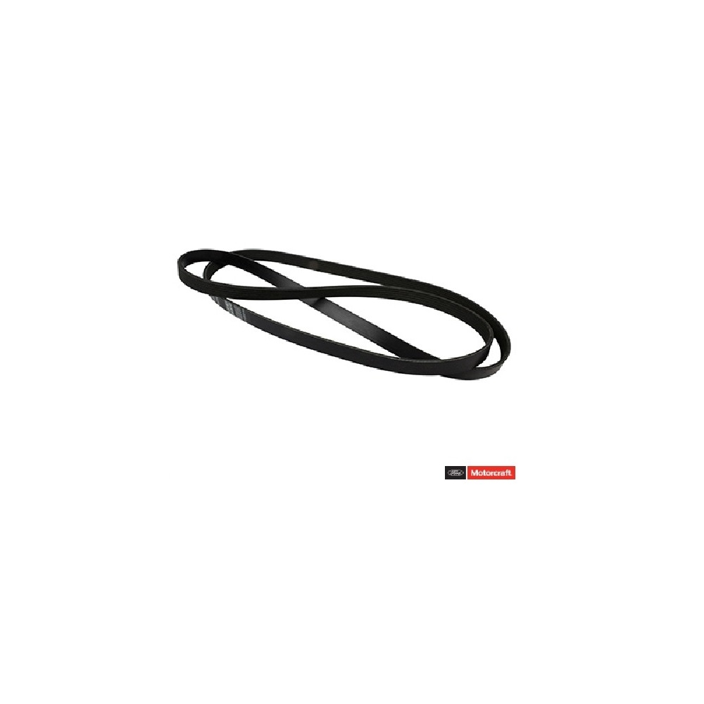 Serpentine Belt