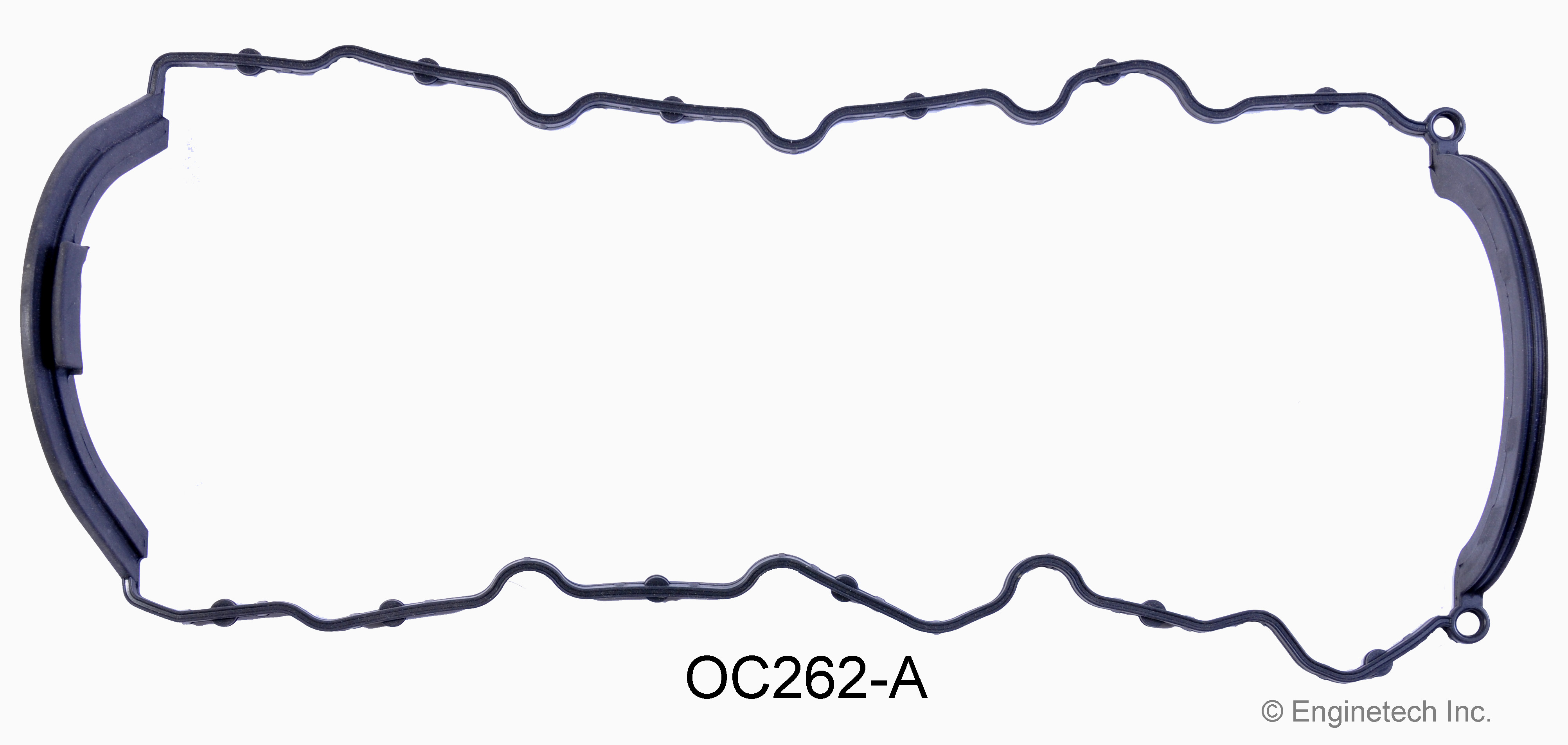 Engine Oil Pan Gasket