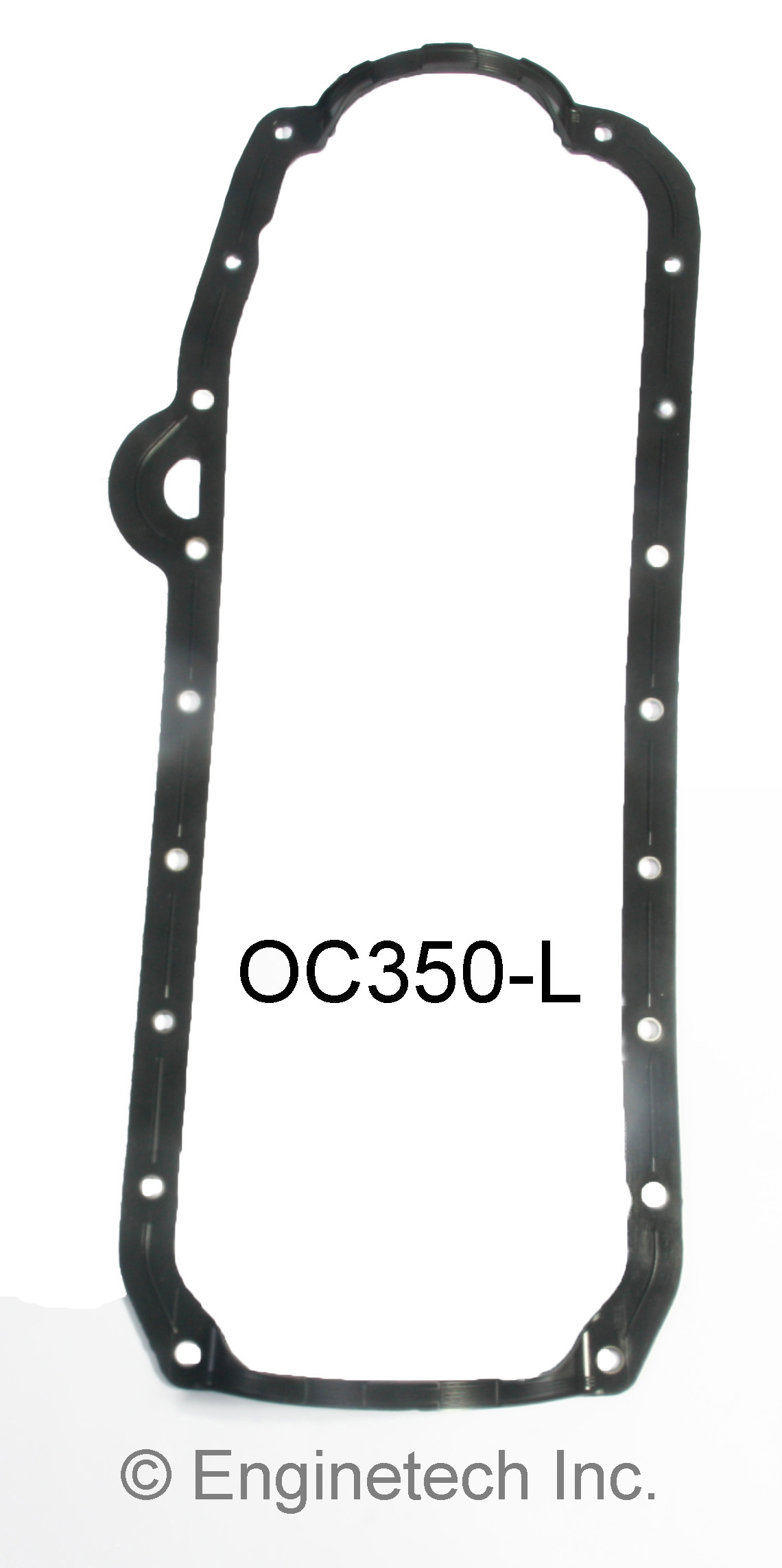 Engine Oil Pan Gasket