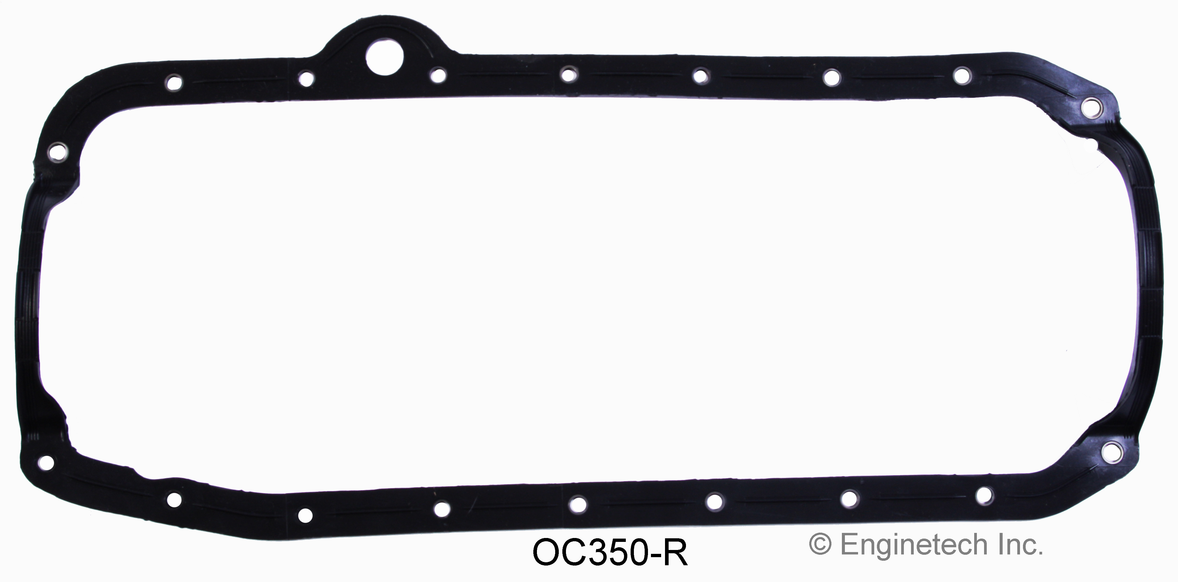 Engine Oil Pan Gasket