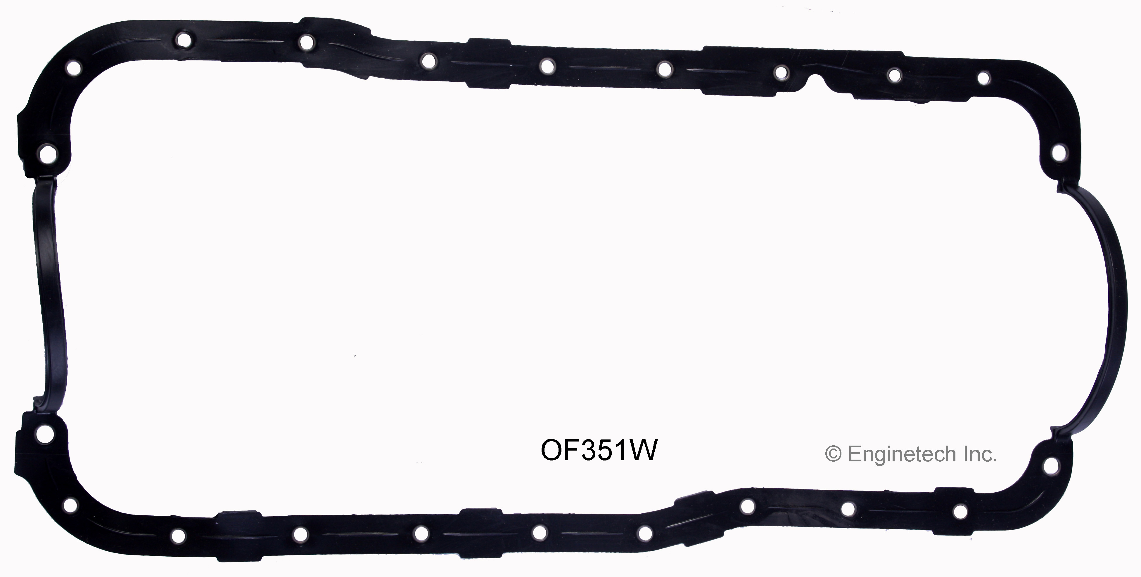 Engine Oil Pan Gasket