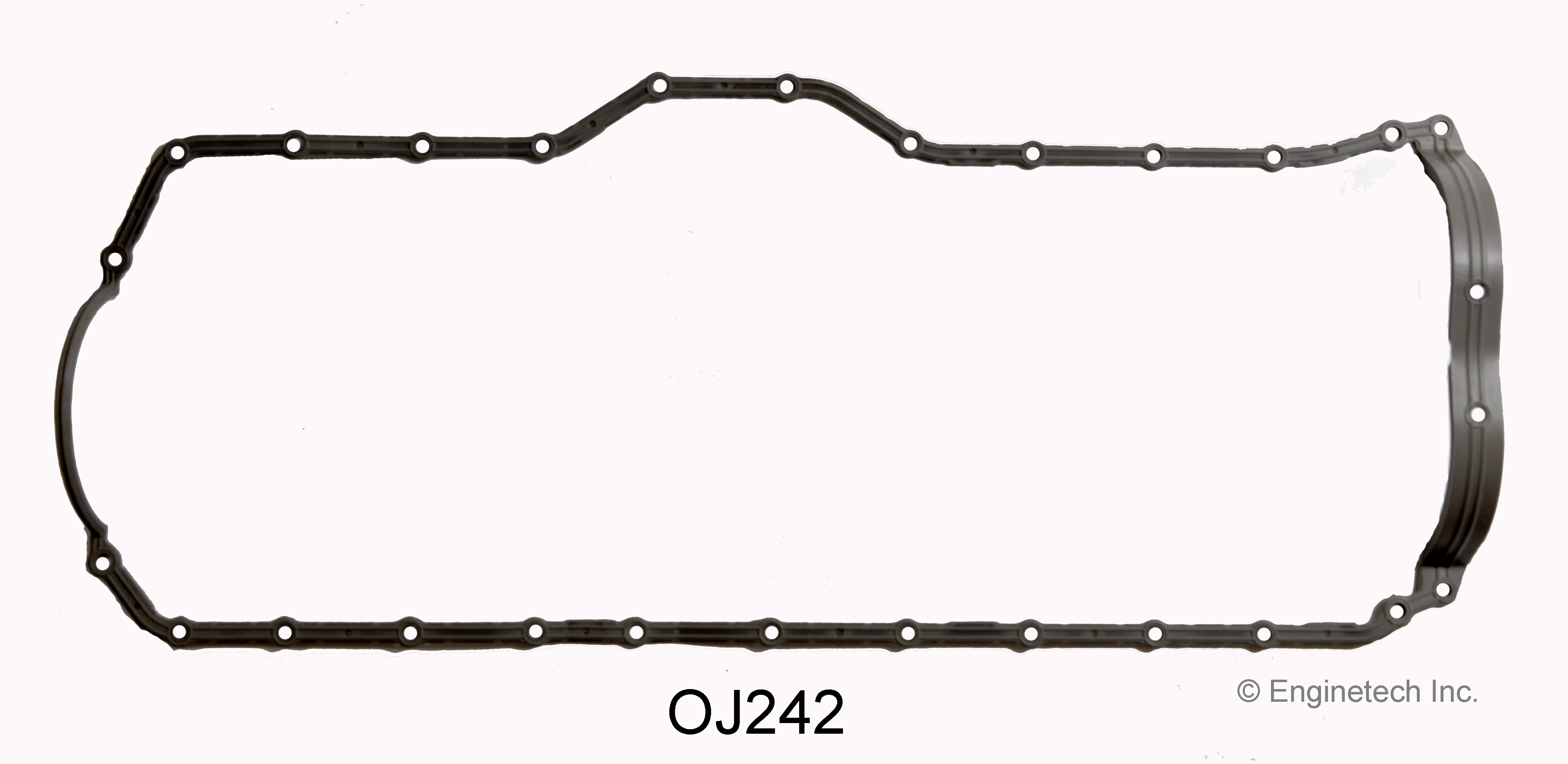 Engine Oil Pan Gasket