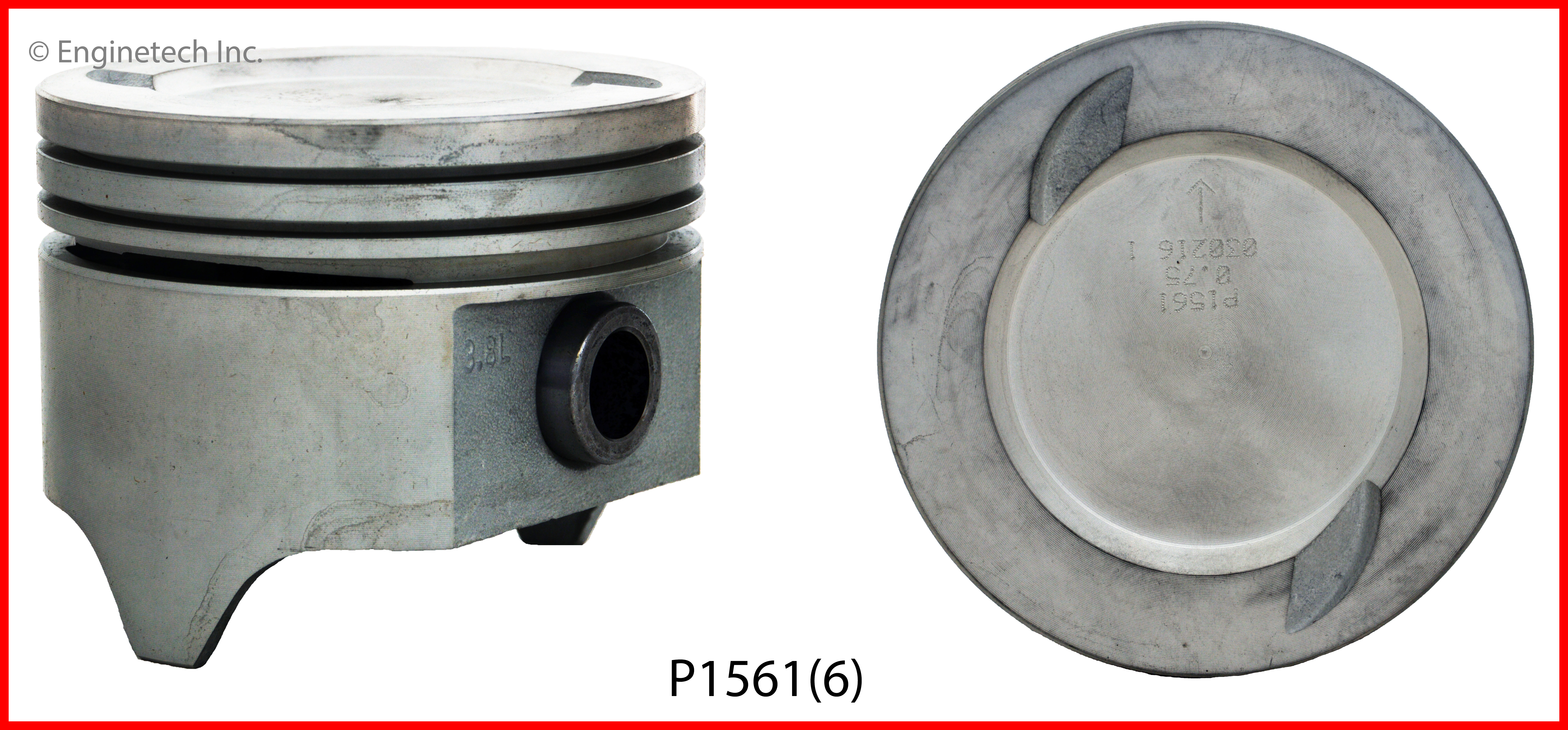 Engine Piston Set